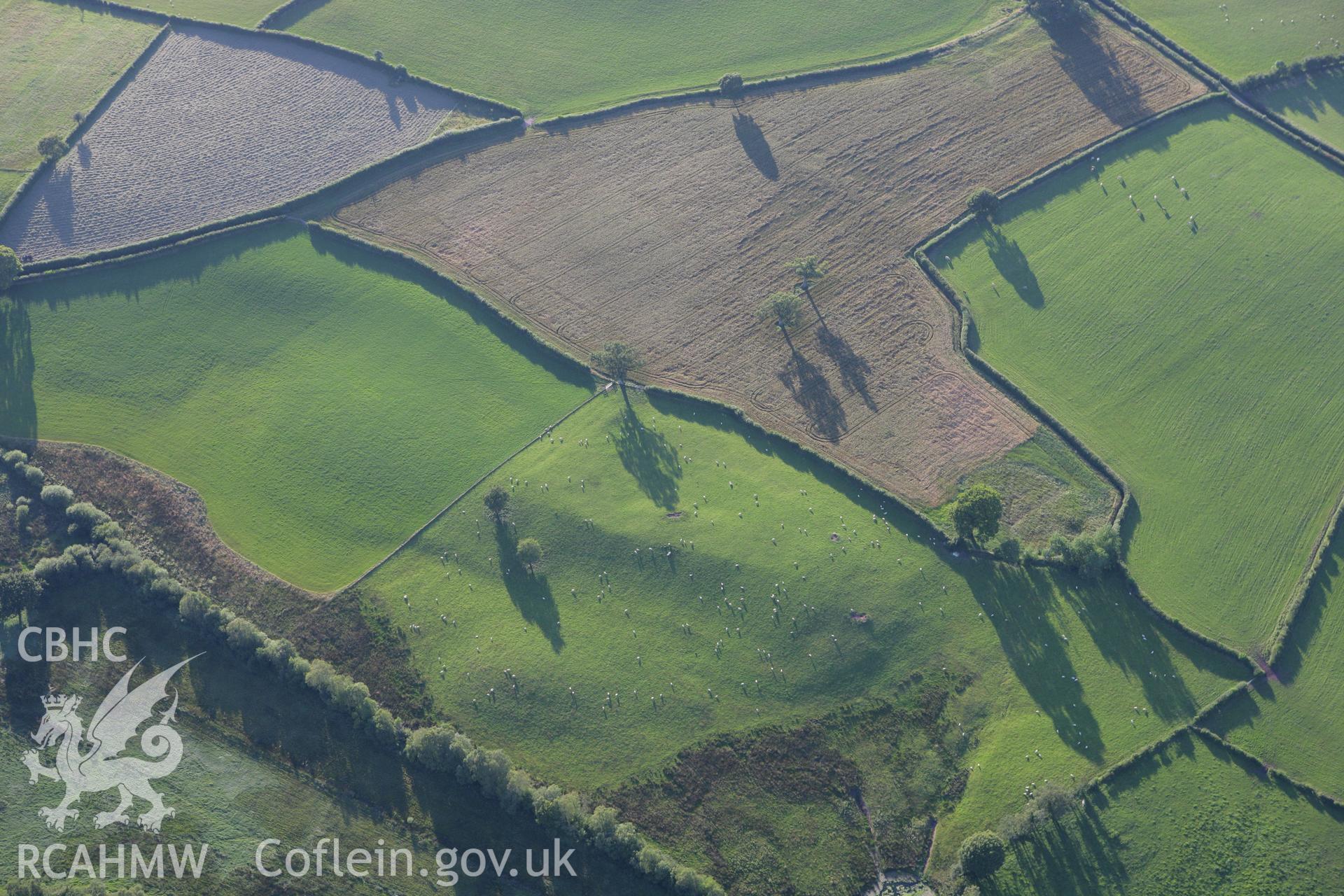 RCAHMW colour oblique aerial photograph showing indications of earthworks, Pant y Cored. Taken on 08 August 2007 by Toby Driver