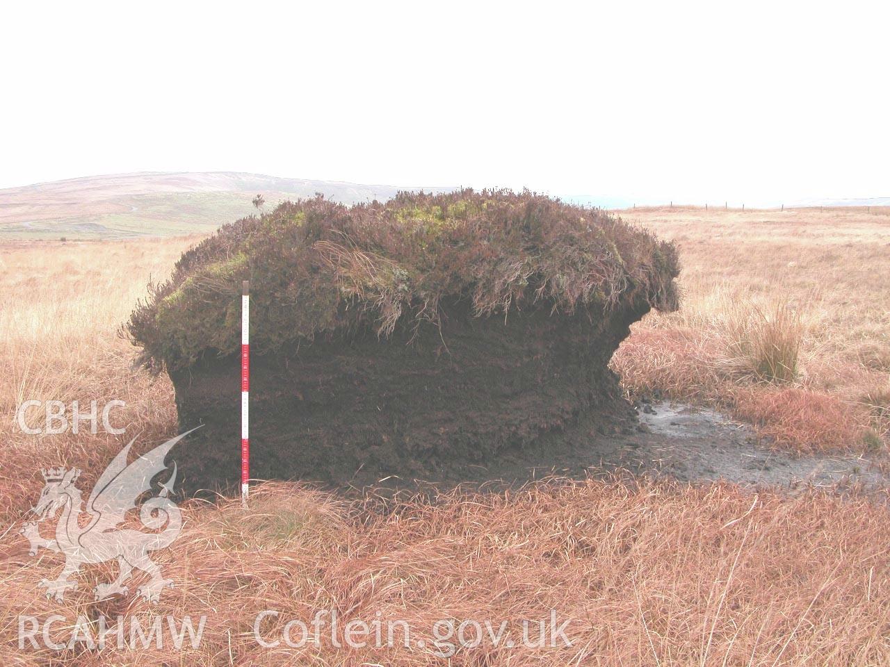 Colour photograph taken at the assessment site, measuring peat depth.