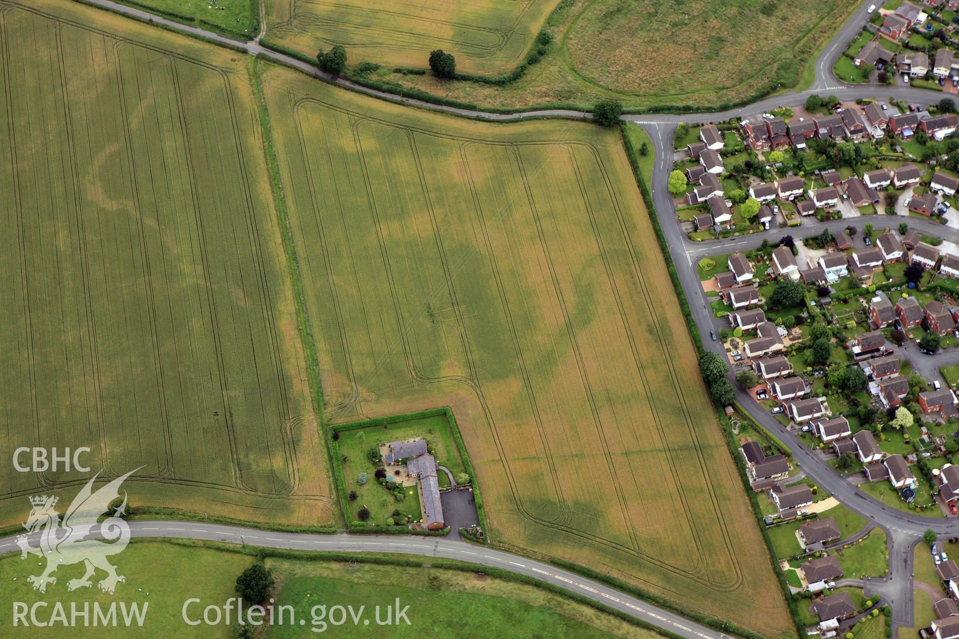 RCAHMW colour oblique aerial photograph of rectangular building cropmarks at Lane Farm. Taken on 08 July 2009 by Toby Driver