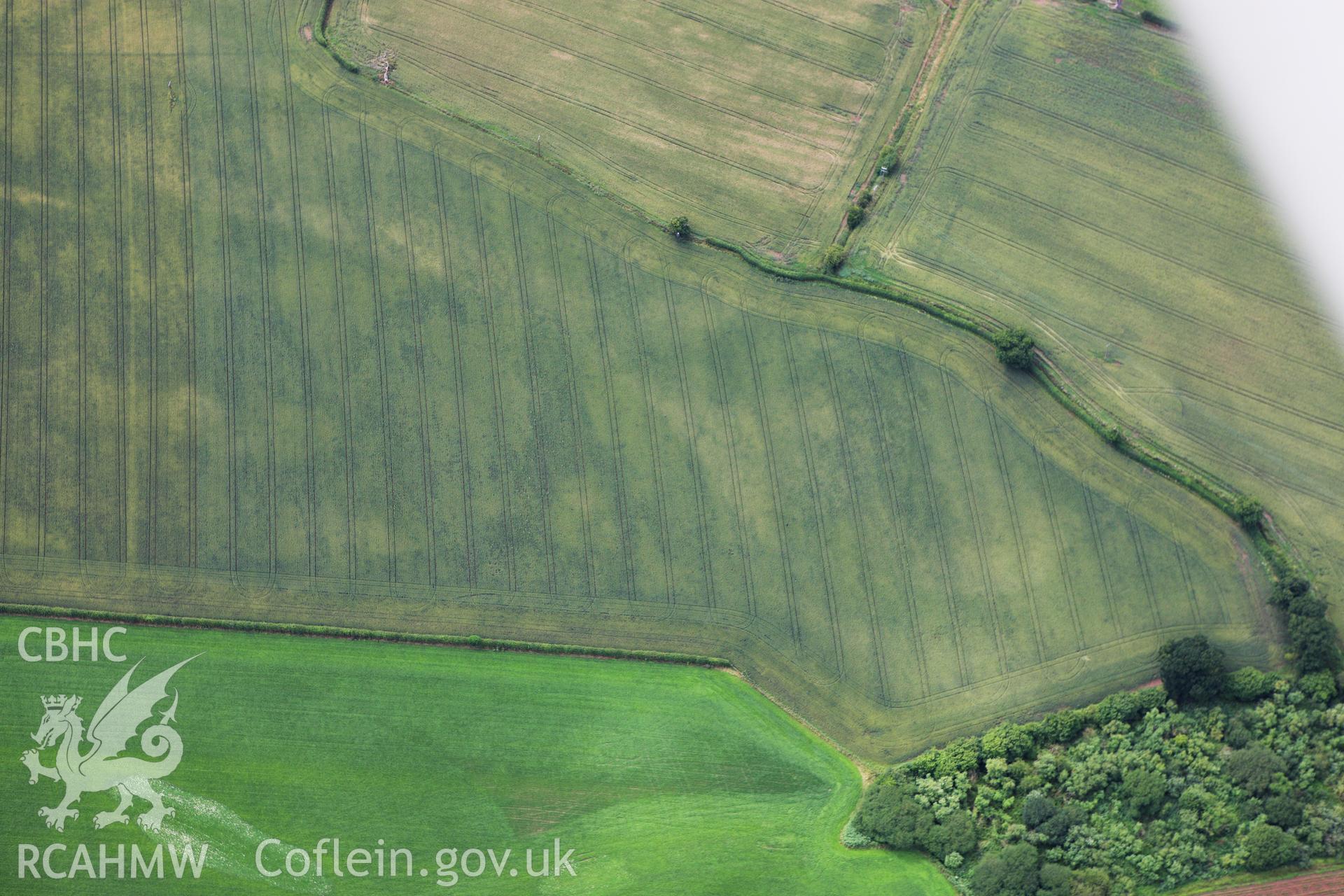 RCAHMW colour oblique aerial photograph of Gerwyn-Fechan Cropmarks showing a former barrow. Taken on 08 July 2009 by Toby Driver