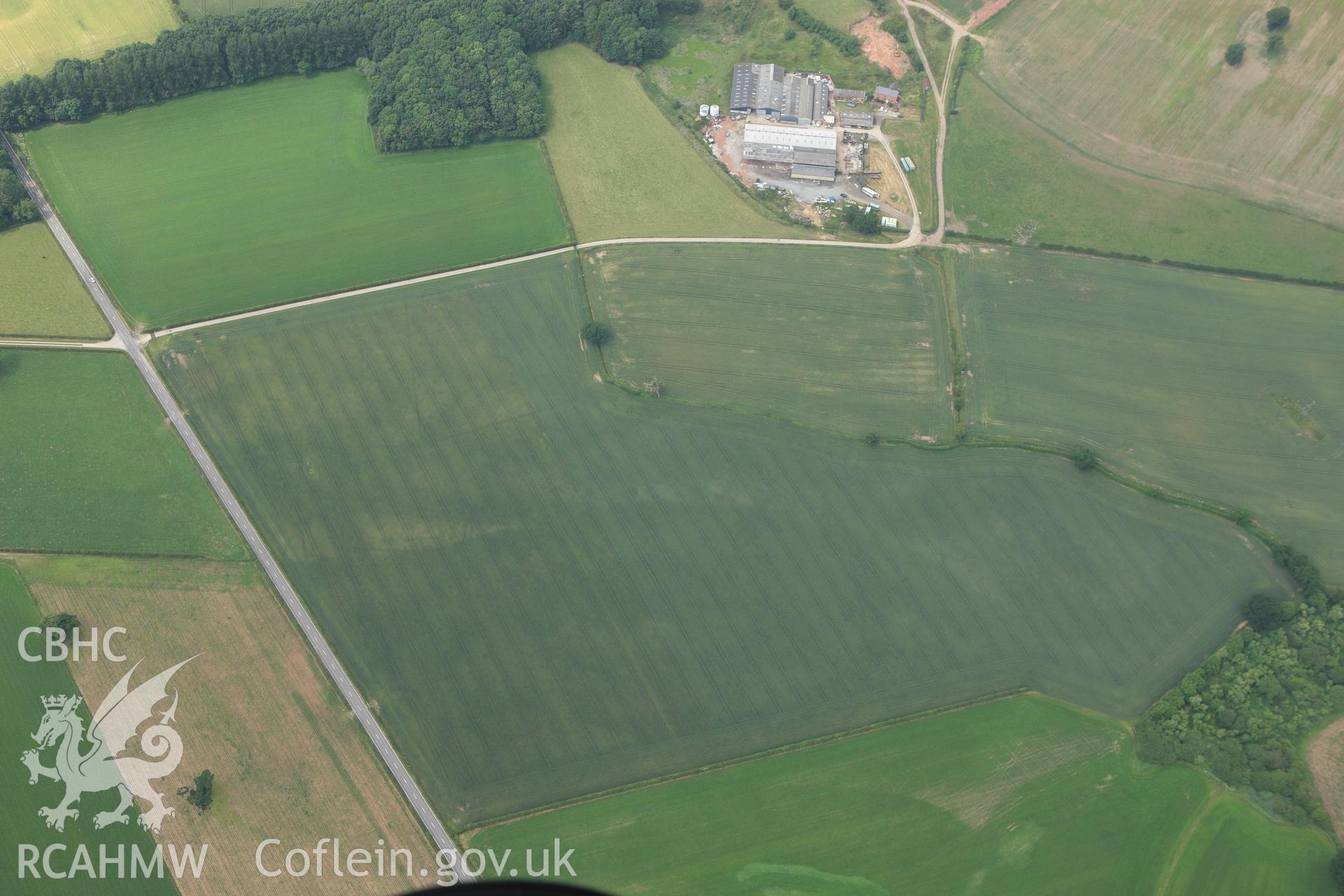 RCAHMW colour oblique aerial photograph of Gerwyn-Fechan Cropmarks showing a ring ditch. Taken on 29 June 2009 by Toby Driver