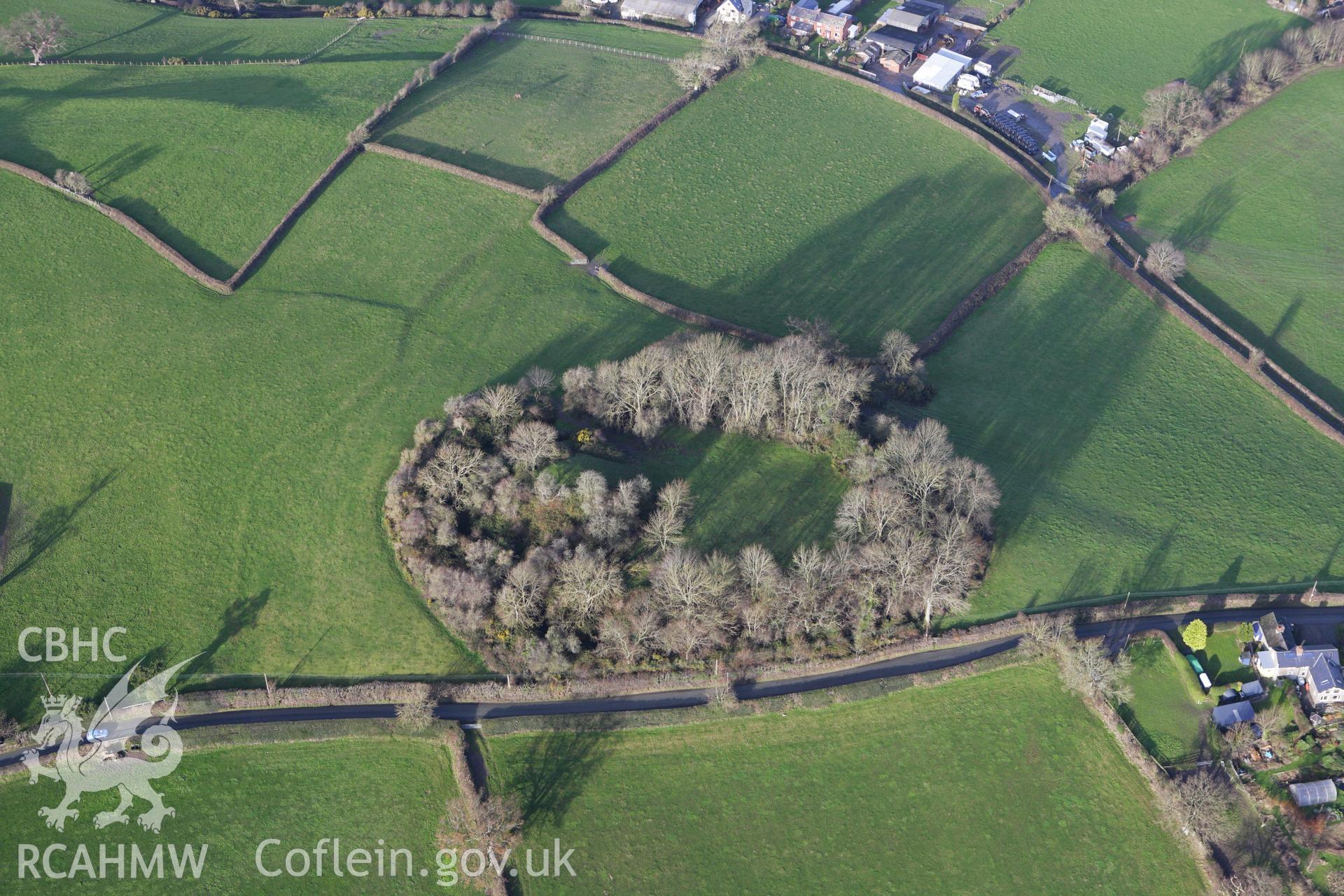 RCAHMW colour oblique aerial photograph of motte and bailey at Hen Domen, Montgomery. Taken on 10 December 2009 by Toby Driver
