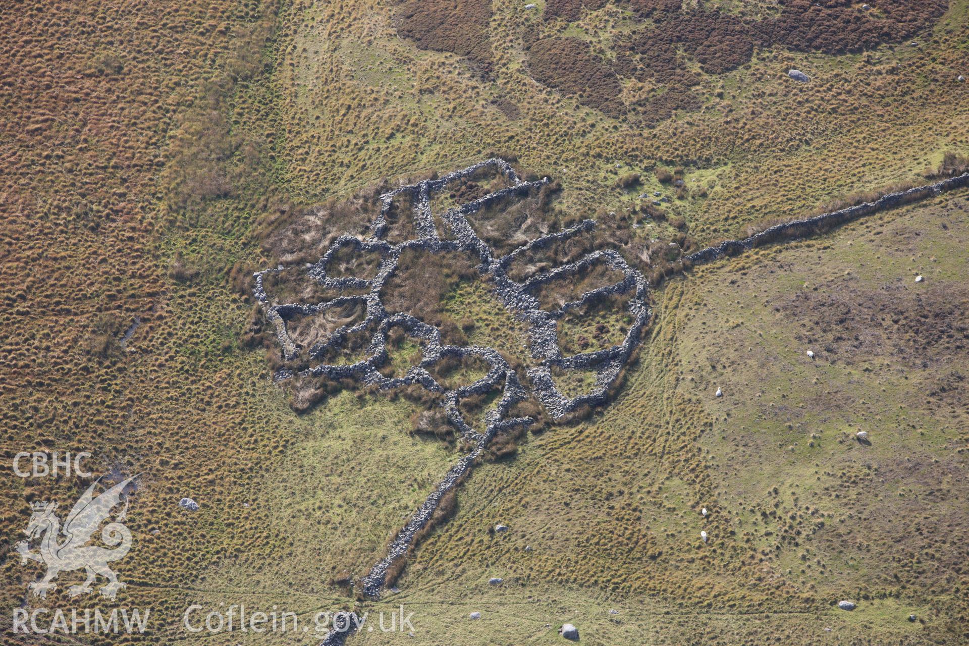 RCAHMW colour oblique aerial photograph of a multi-cellular sheepfold southeast of Dorwen. Taken on 14 October 2009 by Toby Driver
