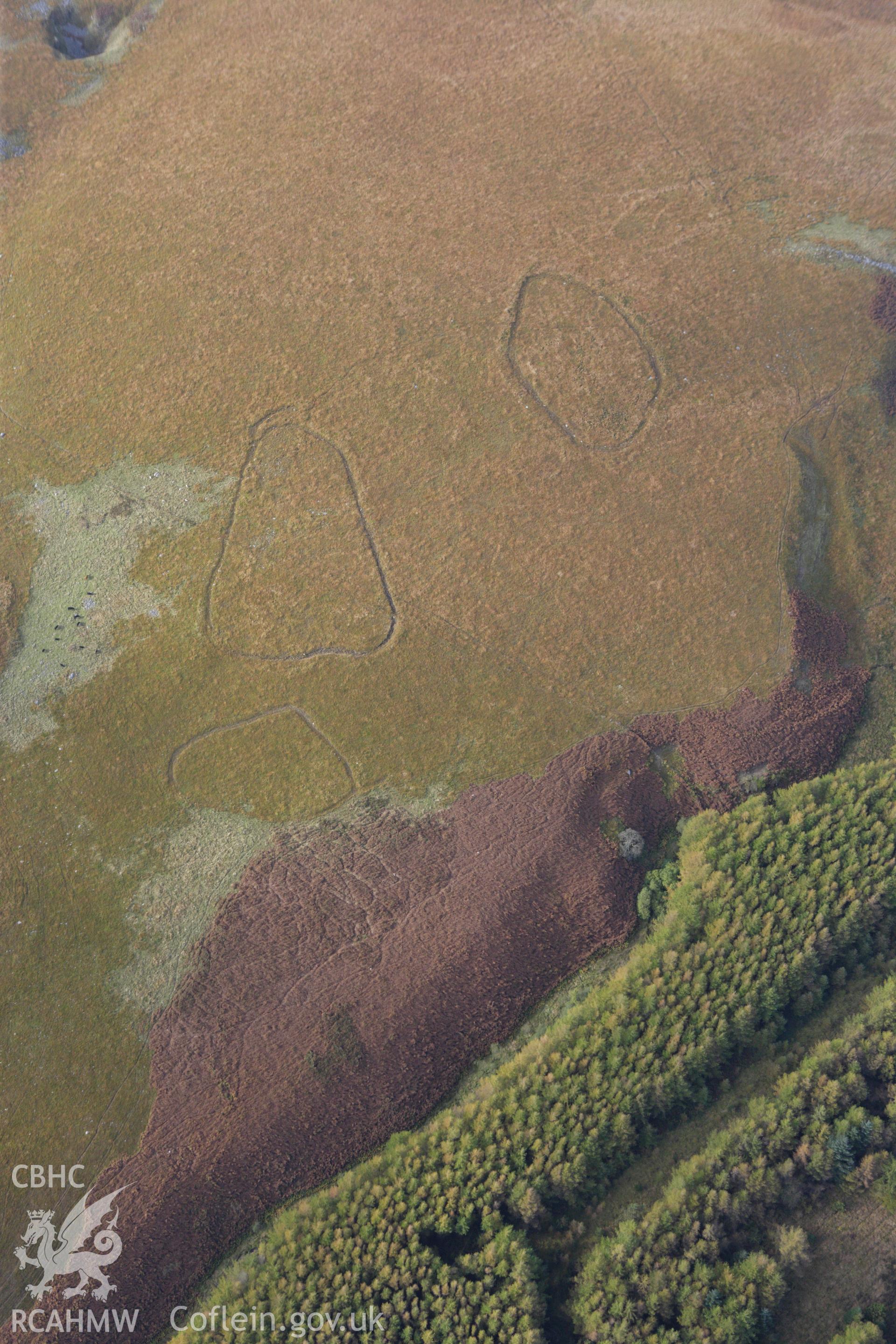 RCAHMW colour oblique aerial photograph of enclosures. Taken on 14 October 2009 by Toby Driver