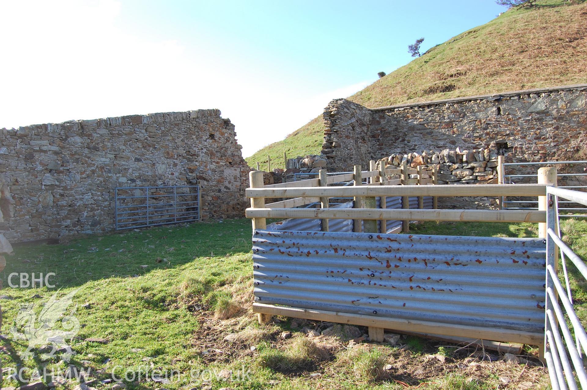 Digital photograph from an archaeological assessment of Deganwy Castle, carried out by Gwynedd Archaeological Trust, 2009. Sheep pens.