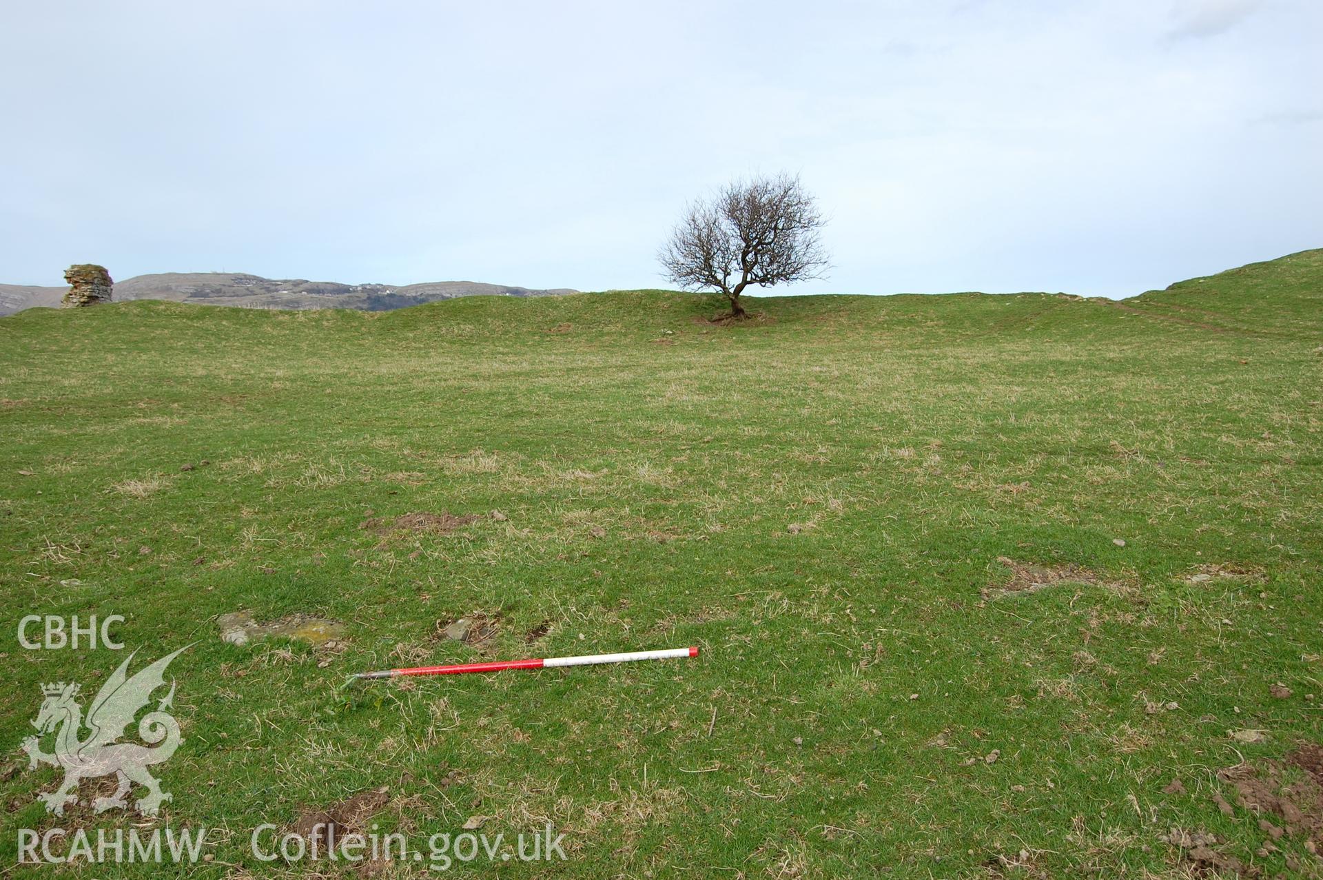 Digital photograph from an archaeological assessment of Deganwy Castle, carried out by Gwynedd Archaeological Trust, 2009. Possible building range in north half of bailey.