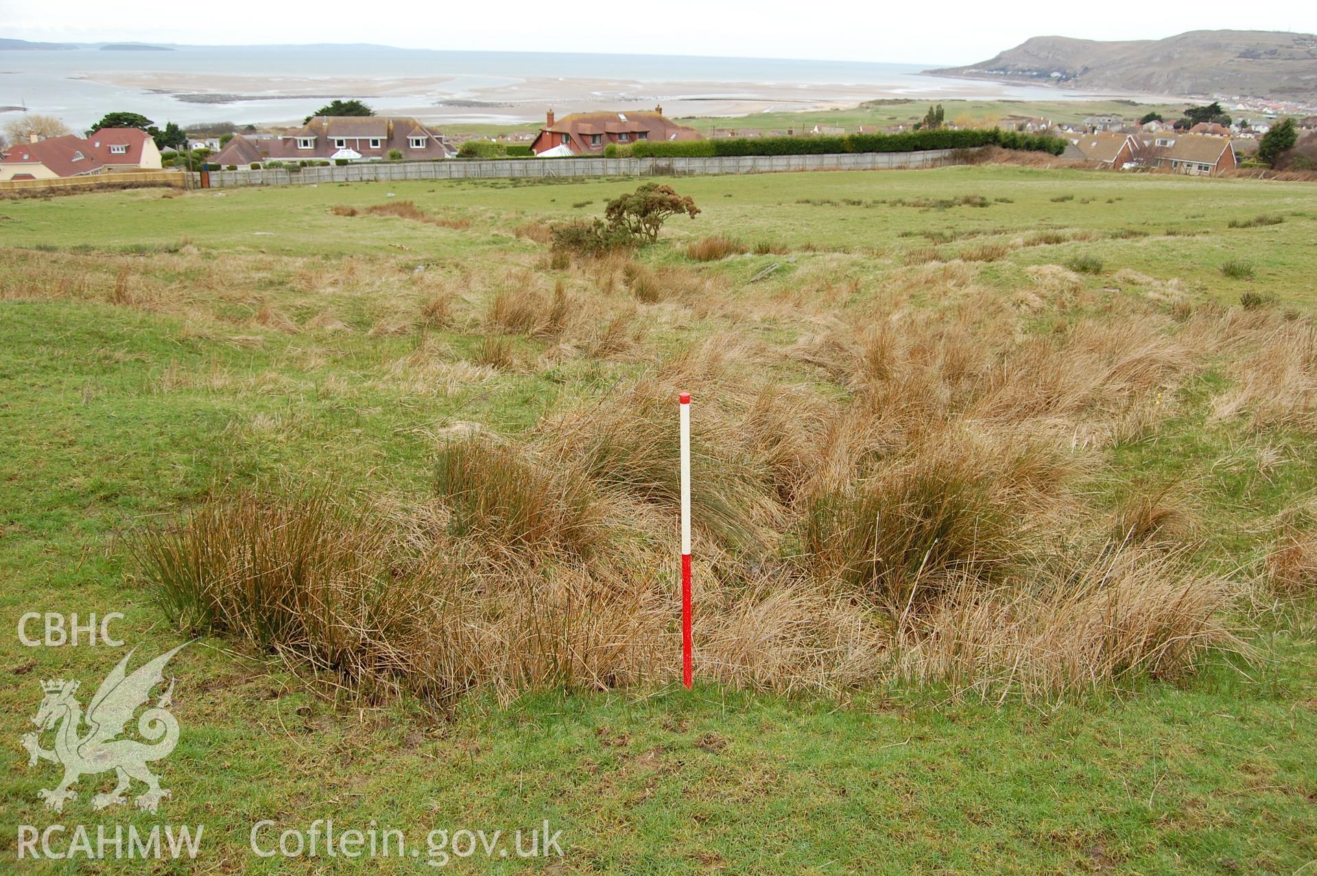 Digital photograph from an archaeological assessment of Deganwy Castle, carried out by Gwynedd Archaeological Trust, 2009. Spring in North field.