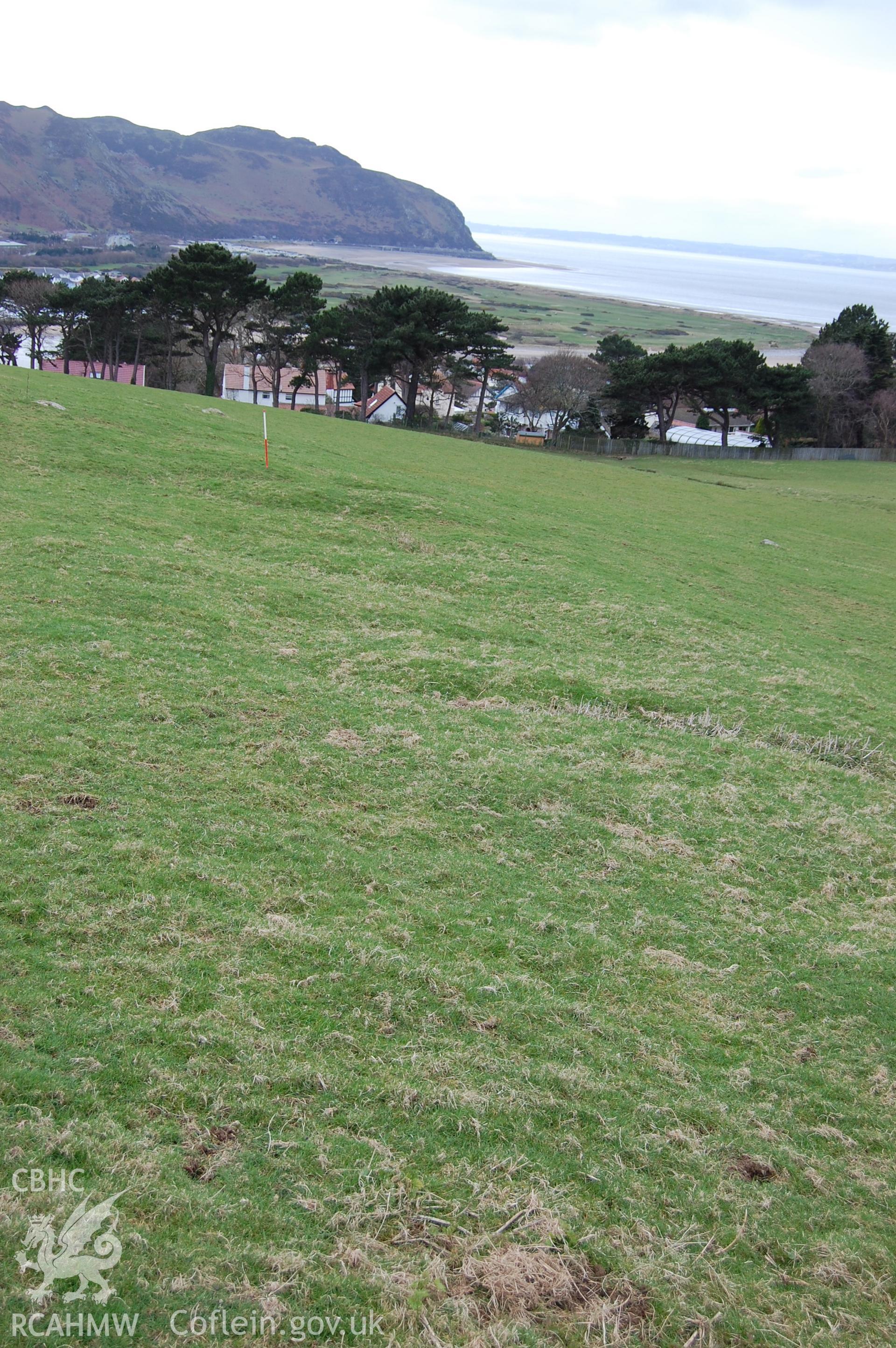 Digital photograph from an archaeological assessment of Deganwy Castle, carried out by Gwynedd Archaeological Trust, 2009. First World War practice trenches.