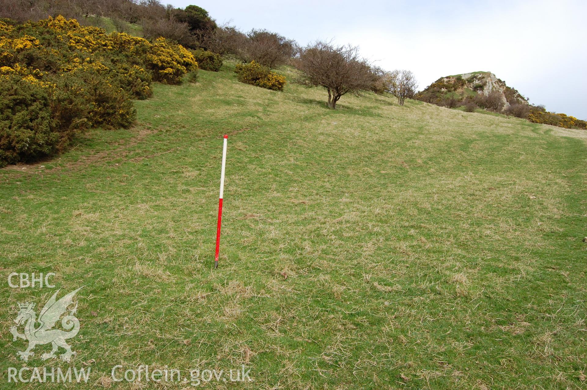 Digital photograph from an archaeological assessment of Deganwy Castle, carried out by Gwynedd Archaeological Trust, 2009. House platform in South settlement.