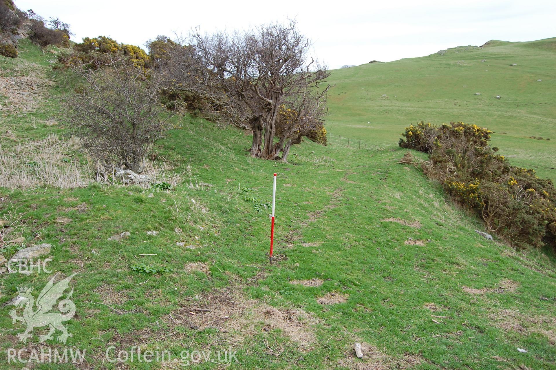 Digital photograph from an archaeological assessment of Deganwy Castle, carried out by Gwynedd Archaeological Trust, 2009. Road up to South gate.