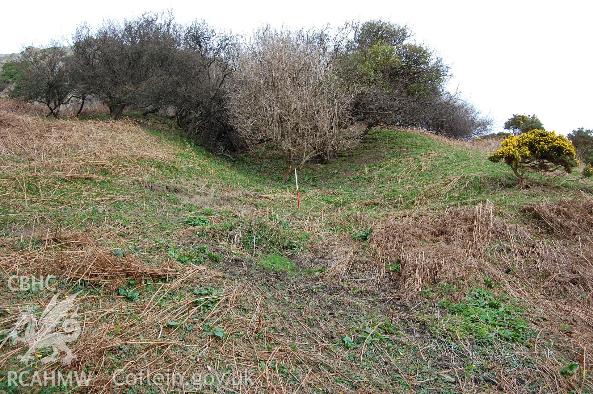 Digital photograph from an archaeological assessment of Deganwy Castle, carried out by Gwynedd Archaeological Trust, 2009. Incline up West hill.
