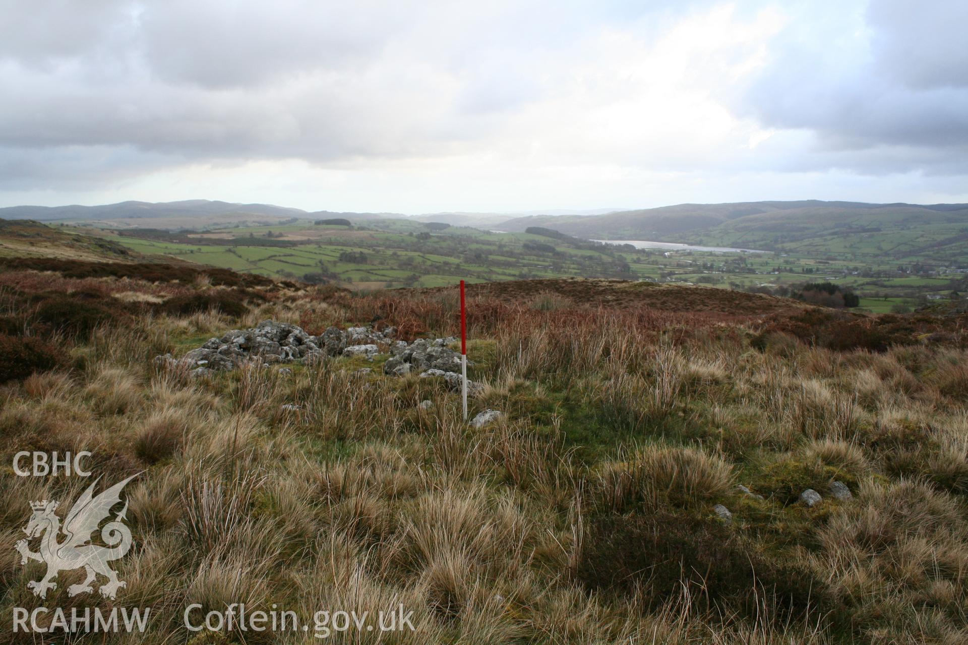 Peat Stand, looking north-east