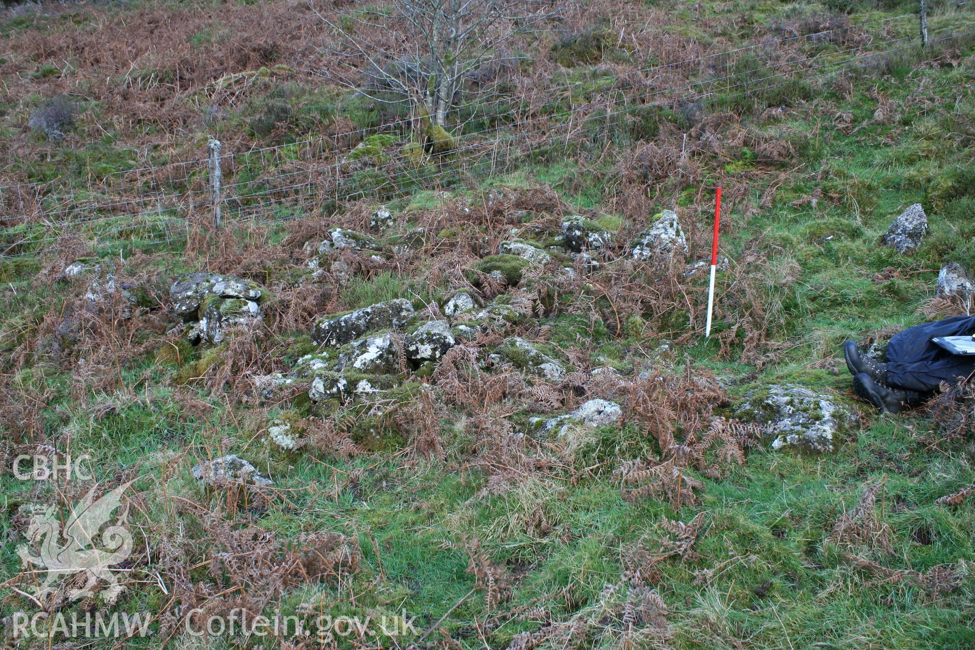 Sheep Shelter, looking south