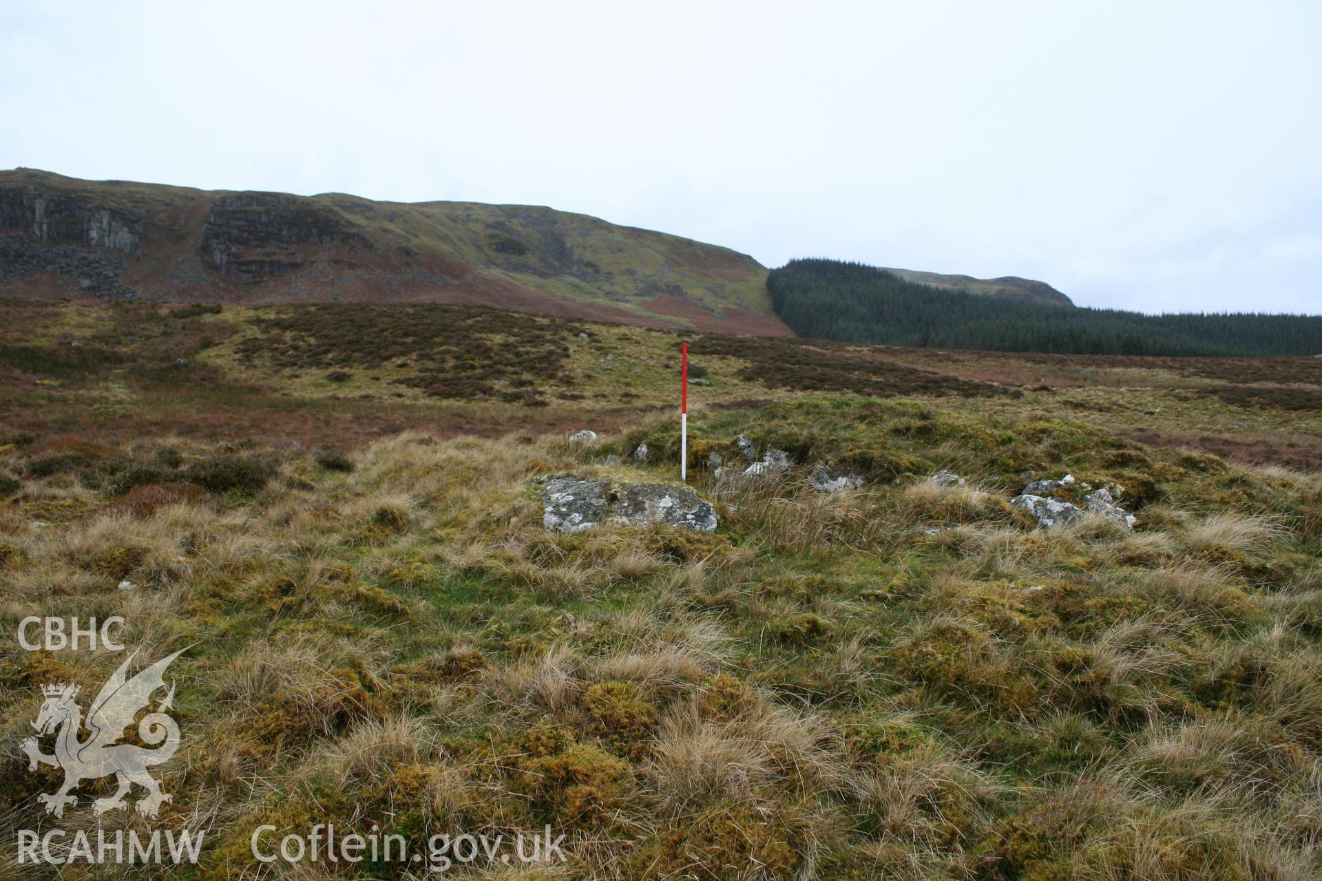 Peat Stand, looking west