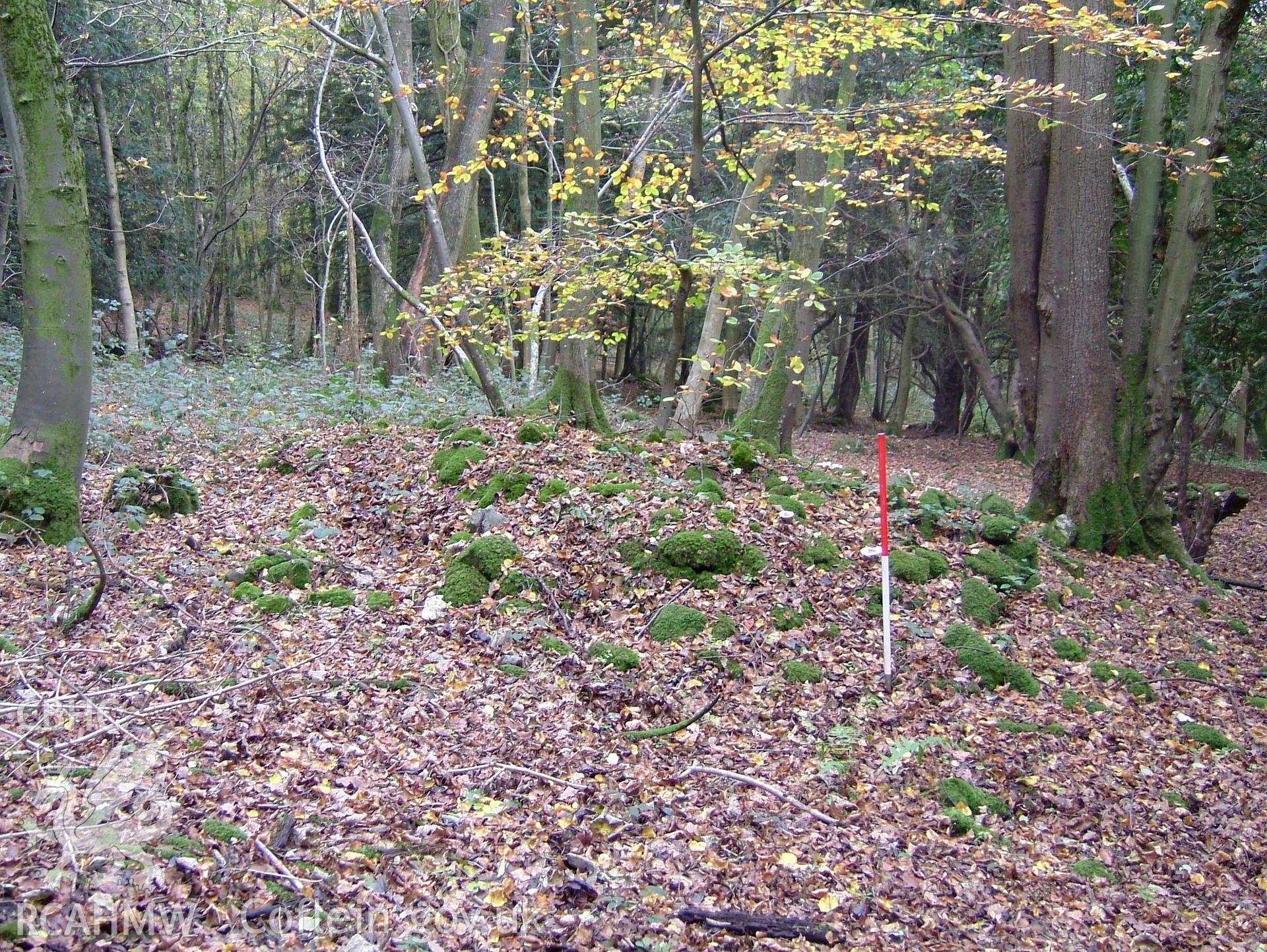 Digital colour photograph taken as part of an archaeological survey at the Piercefield walks, 2004. The photograph shows part of the Piercefield Estate.