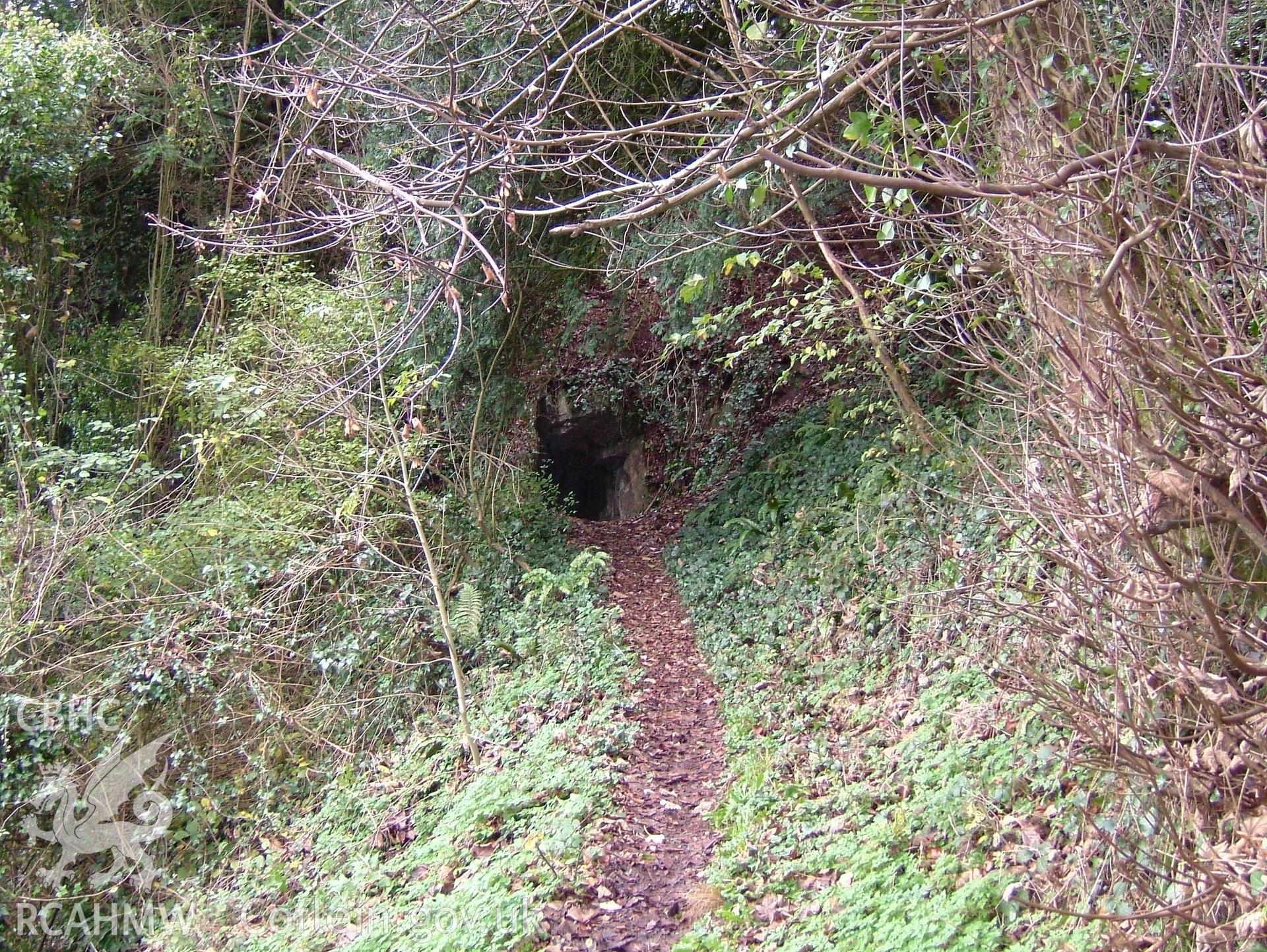 Digital colour photograph taken as part of an archaeological survey at the Piercefield walks, 2004. The photograph shows the ruined 'Cold Bath' at the Piercefield Estate.