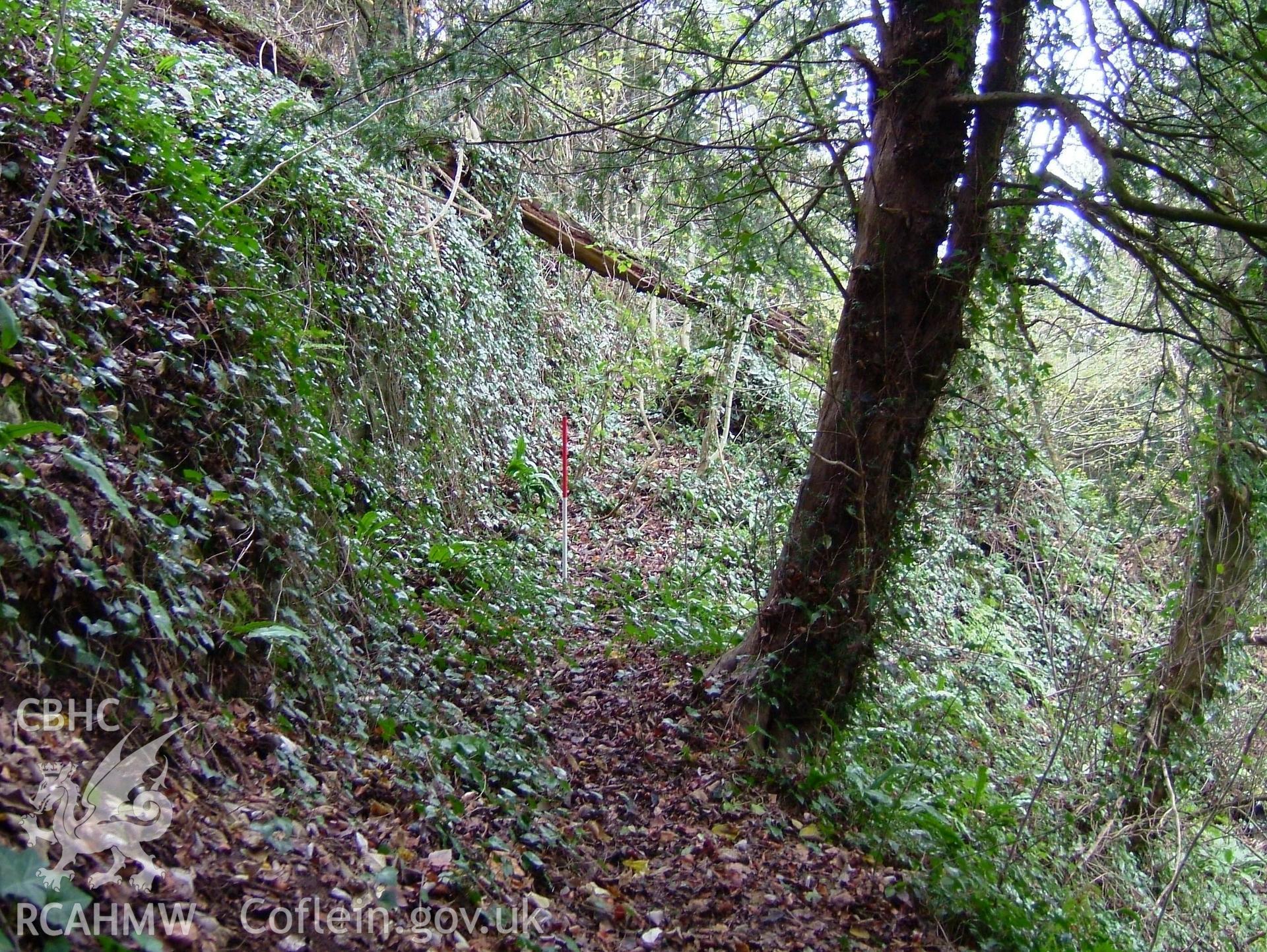 Digital colour photograph taken as part of an archaeological survey at the Piercefield walks, 2004. The photograph shows part of the Piercefield Estate.