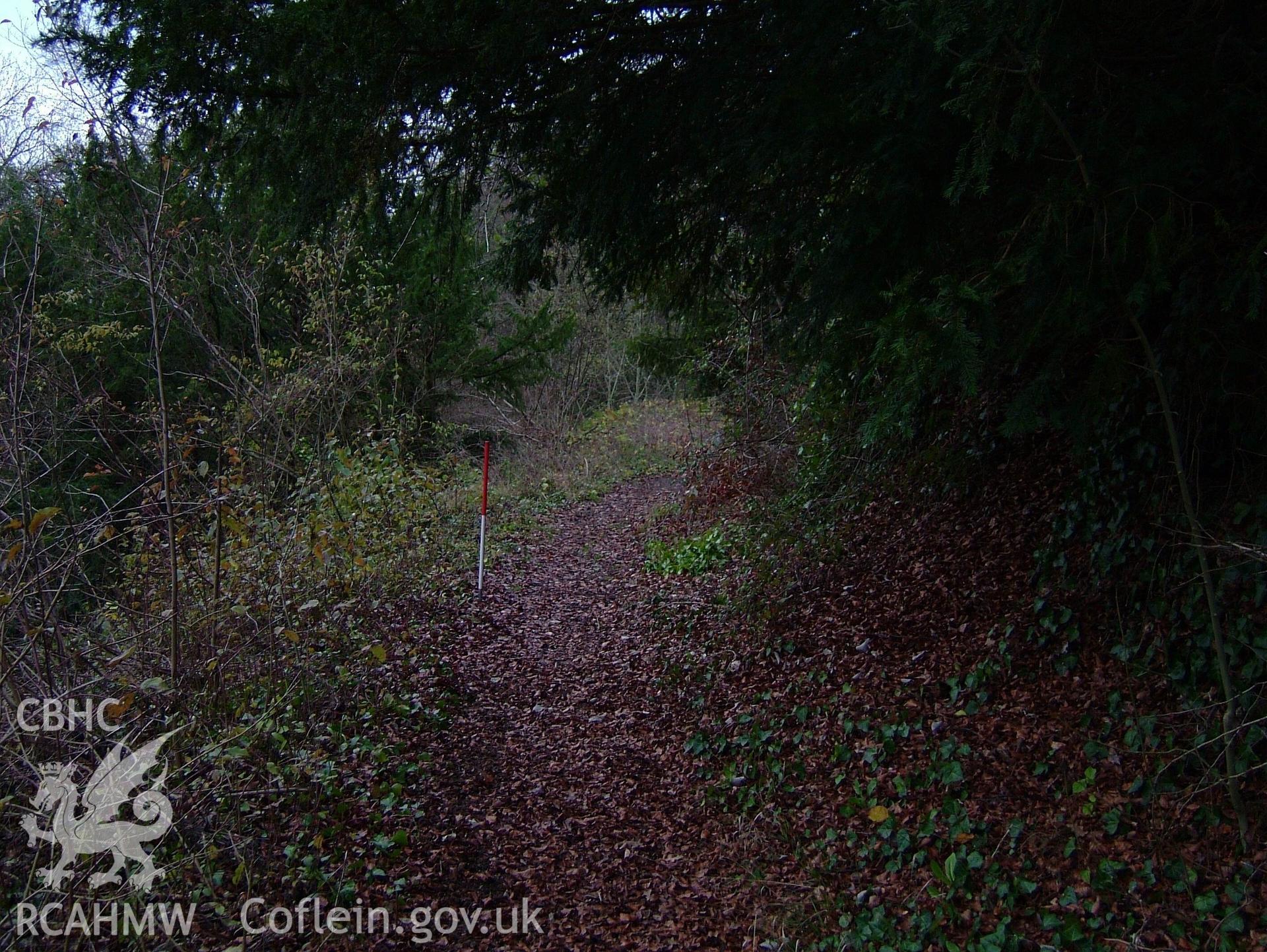 Digital colour photograph taken as part of an archaeological survey at the Piercefield walks, 2004. The photograph shows a modern footpath at the Piercefield Estate.