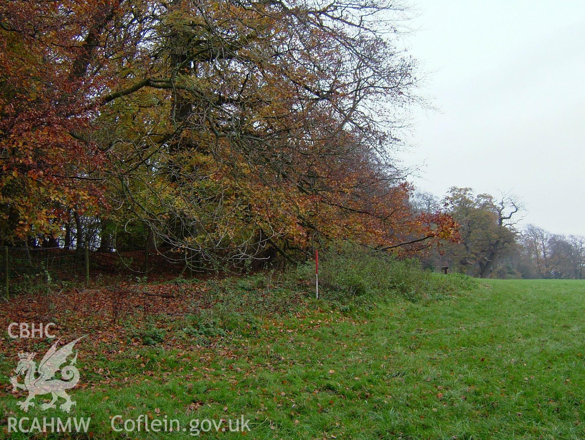 Digital colour photograph taken as part of an archaeological survey at the Piercefield walks, 2004. The photograph shows part of the Piercefield Estate.