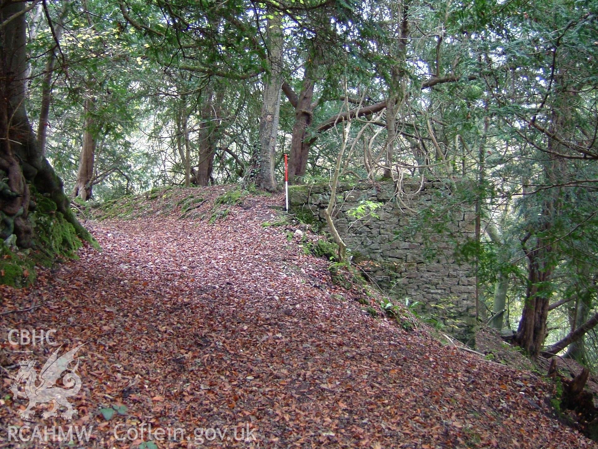 Digital colour photograph taken as part of an archaeological survey at the Piercefield walks, 2004. The photograph shows 'The Platform' at the Piercefield estate.