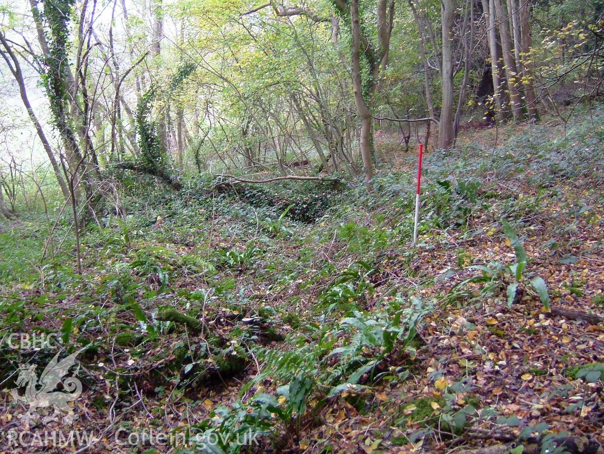 Digital colour photograph taken as part of an archaeological survey at the Piercefield walks, 2004. The photograph shows part of the Piercefield Estate.