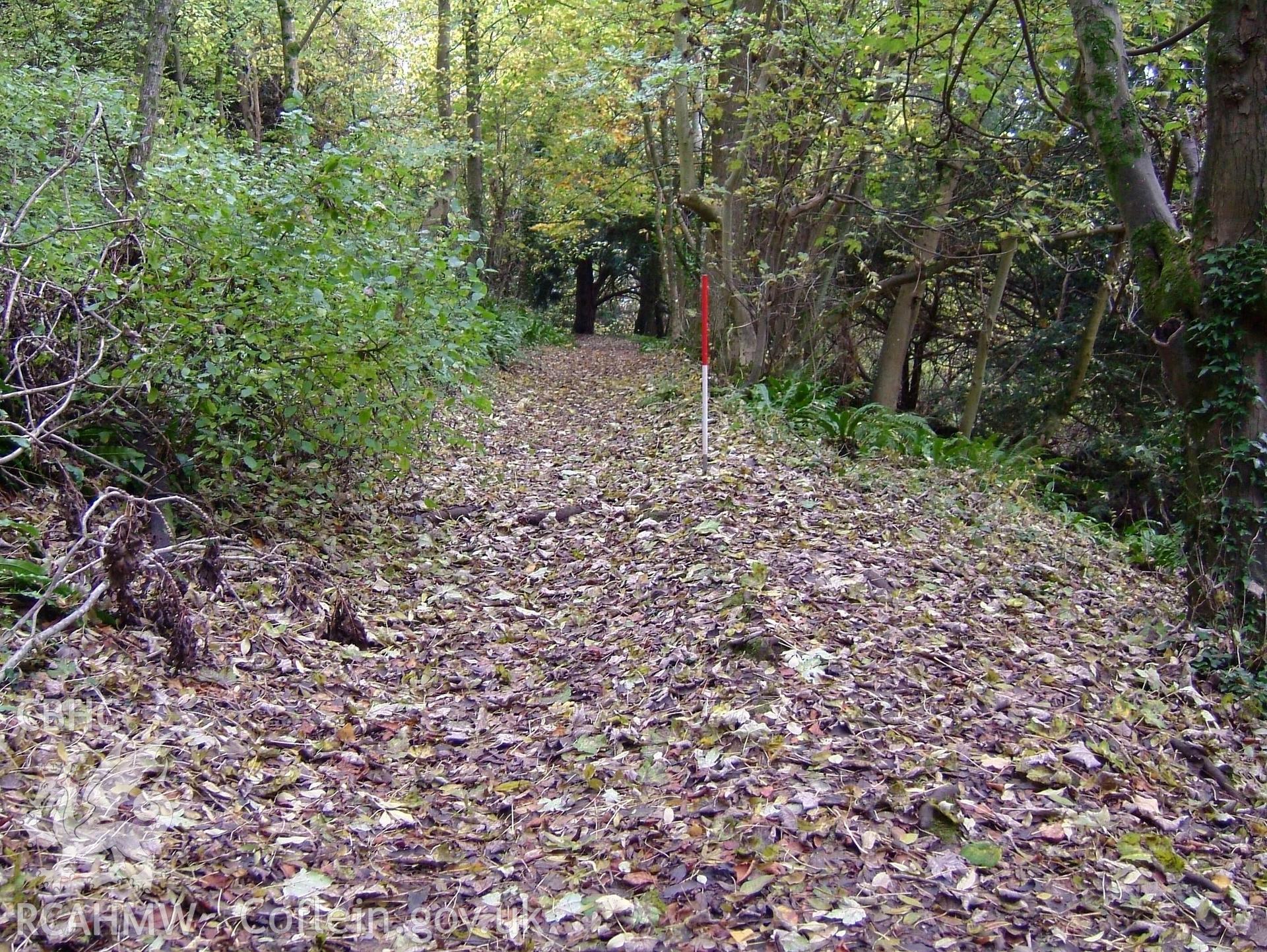 Digital colour photograph taken as part of an archaeological survey at the Piercefield walks, 2004. The photograph shows part of the Piercefield Estate.