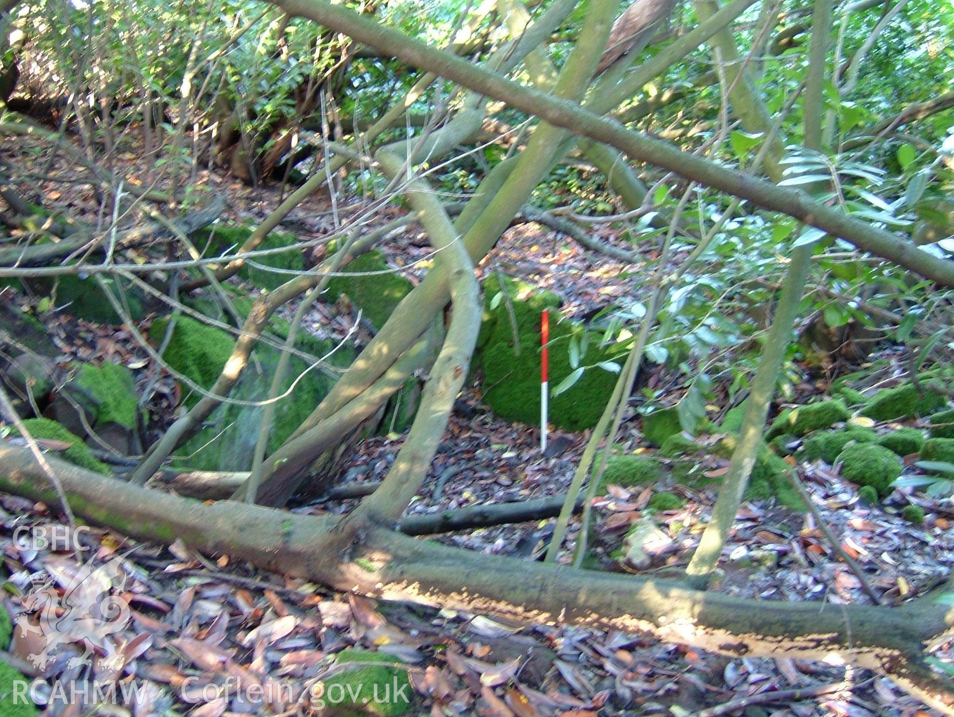 Digital colour photograph taken as part of an archaeological survey at the Piercefield walks, 2004. The photograph shows part of the Piercefield Estate.