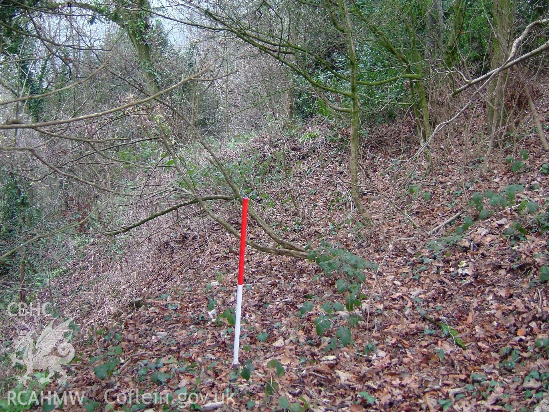 Digital colour photograph taken as part of an archaeological survey at the Piercefield walks, 2004. The photograph shows part of the Piercefield Estate.