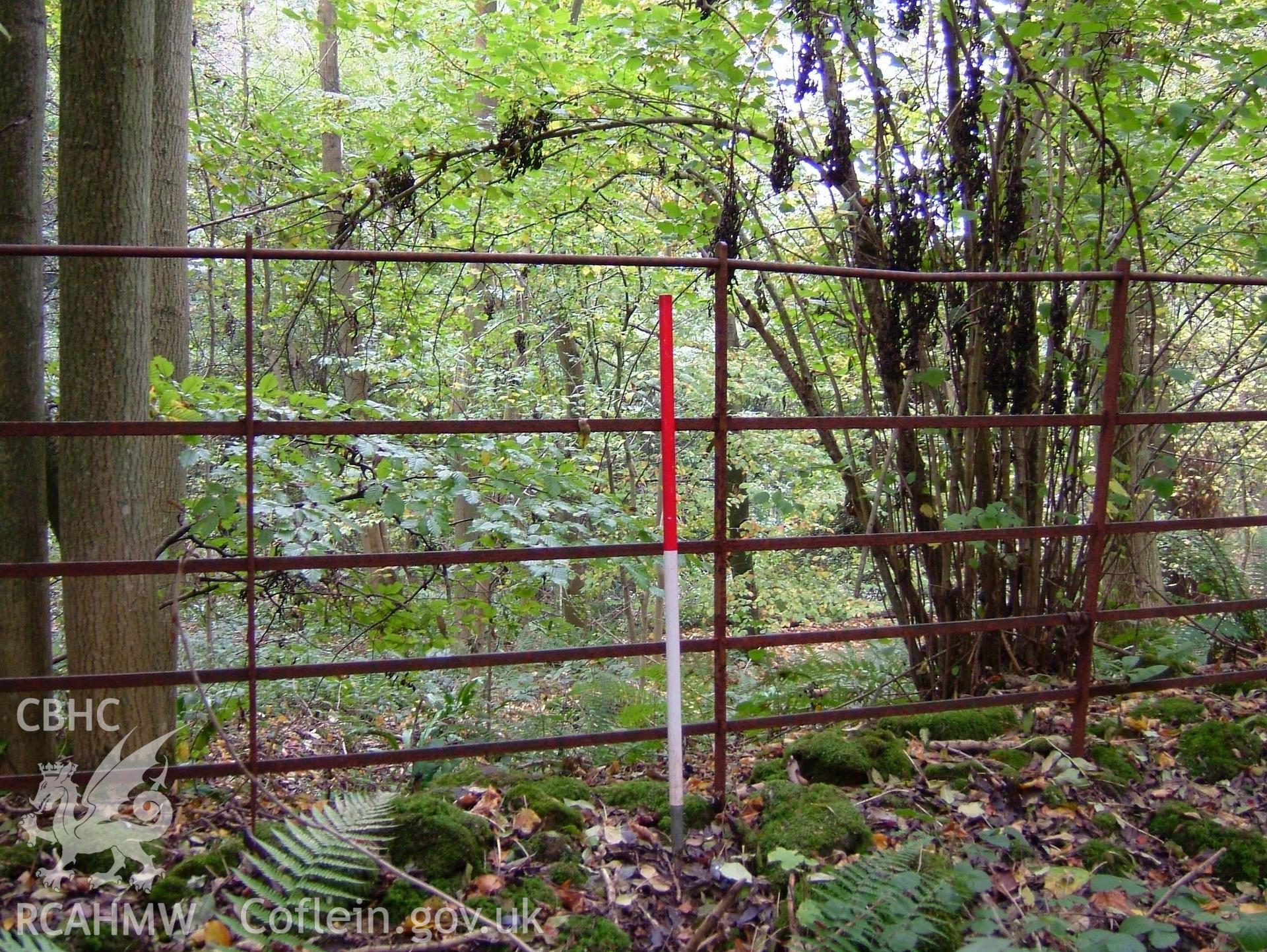 Digital colour photograph taken as part of an archaeological survey at the Piercefield walks, 2004. The photograph shows part of the Piercefield Estate.