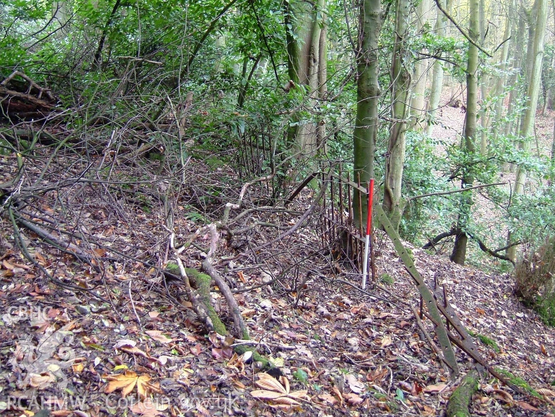 Digital colour photograph taken as part of an archaeological survey at the Piercefield walks, 2004. The photograph shows part of the Piercefield Estate.
