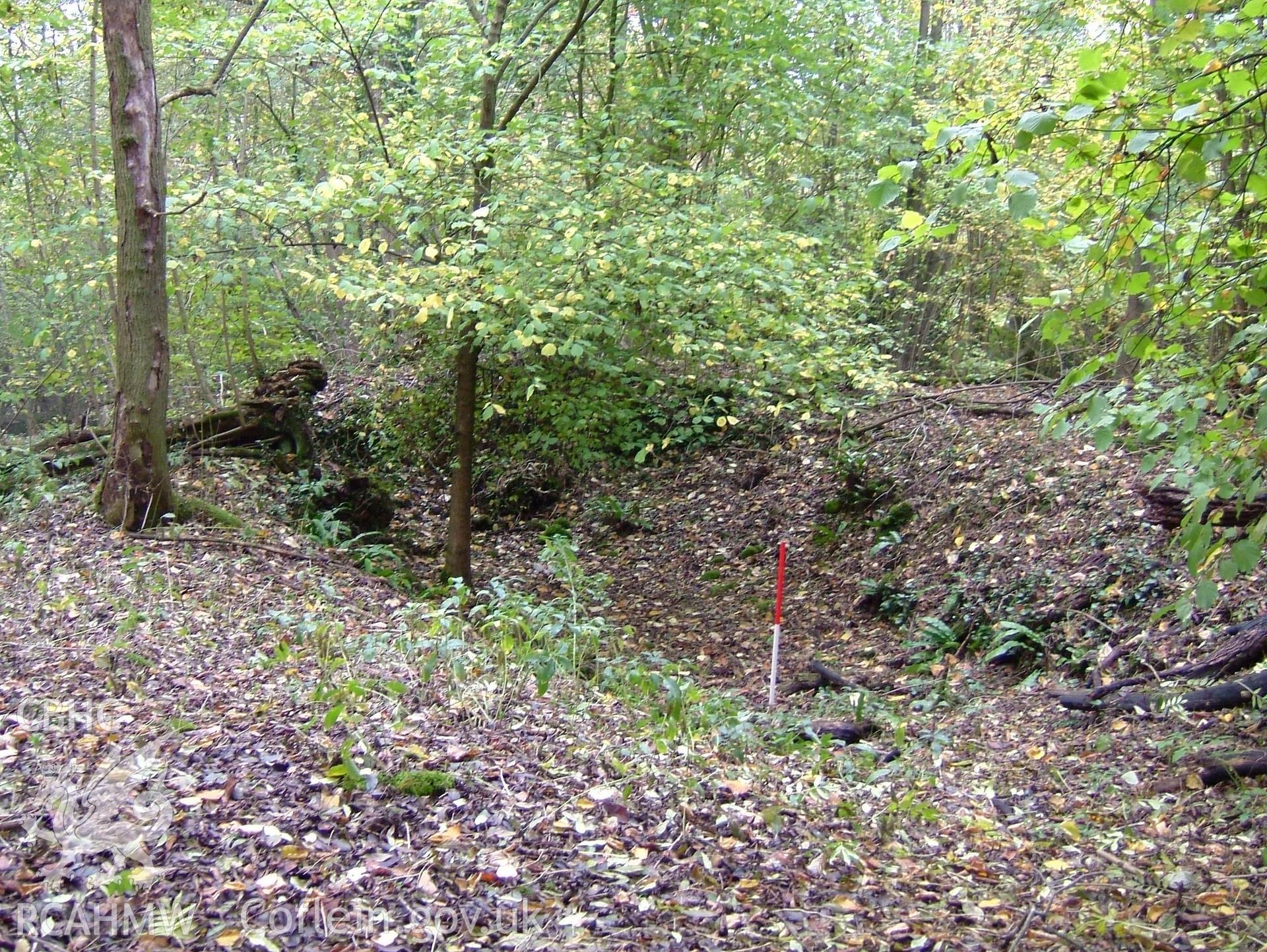 Digital colour photograph taken as part of an archaeological survey at the Piercefield walks, 2004. The photograph shows part of the Piercefield Estate.