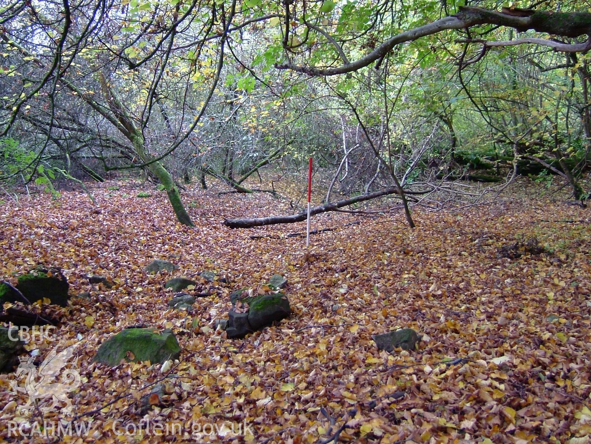 Digital colour photograph taken as part of an archaeological survey at the Piercefield walks, 2004. The photograph shows part of the Piercefield Estate.