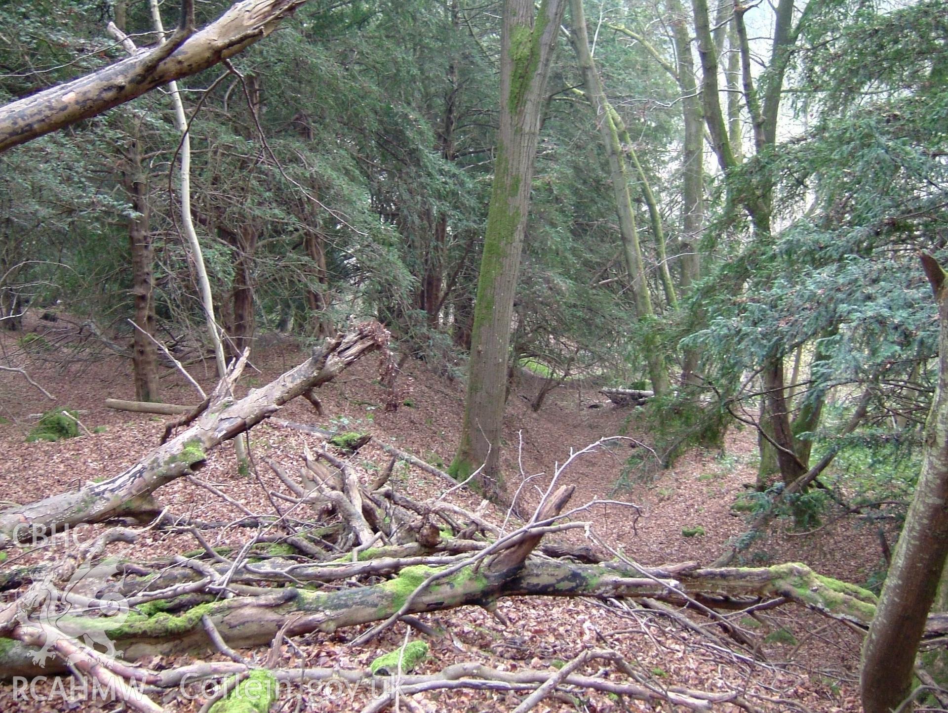 Digital colour photograph taken as part of an archaeological survey at the Piercefield walks, 2004. The photograph shows part of the Piercefield Estate.