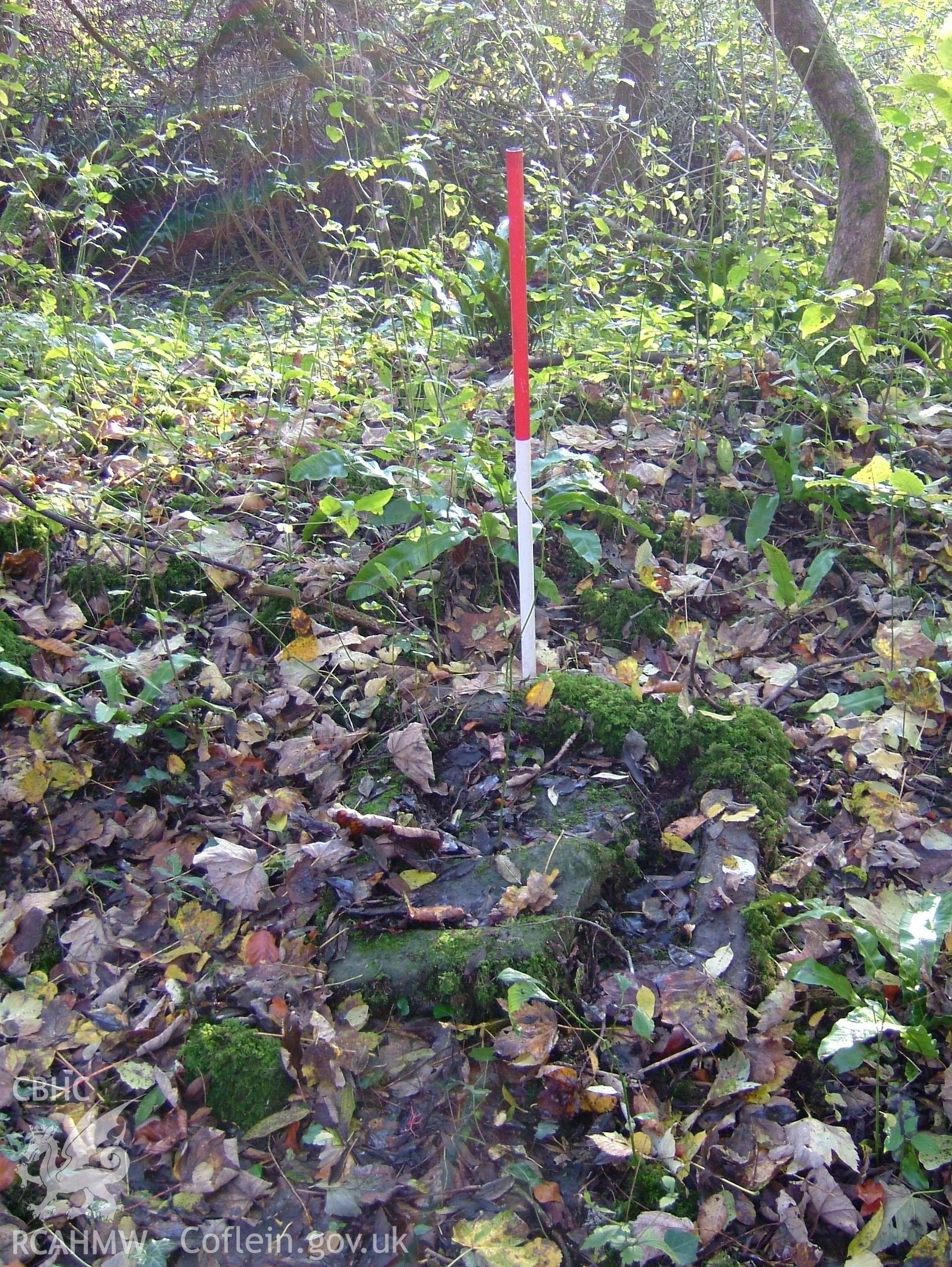 Digital colour photograph taken as part of an archaeological survey at the Piercefield walks, 2004. The photograph shows part of the Piercefield Estate.