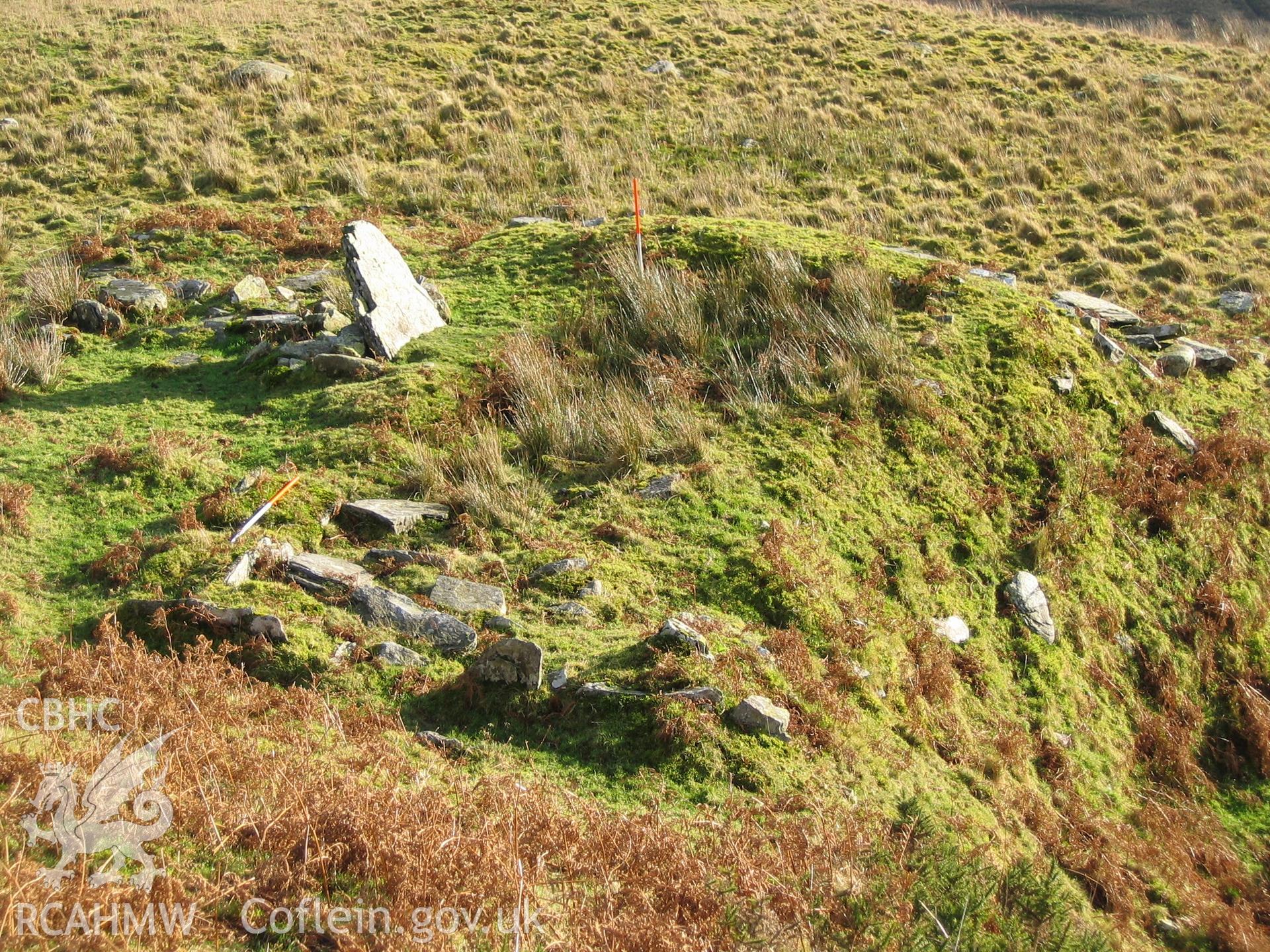 Photograph of Dyffryn Mymbyr Long Hut I taken during Upland Survey by staff of EAS Contracts.