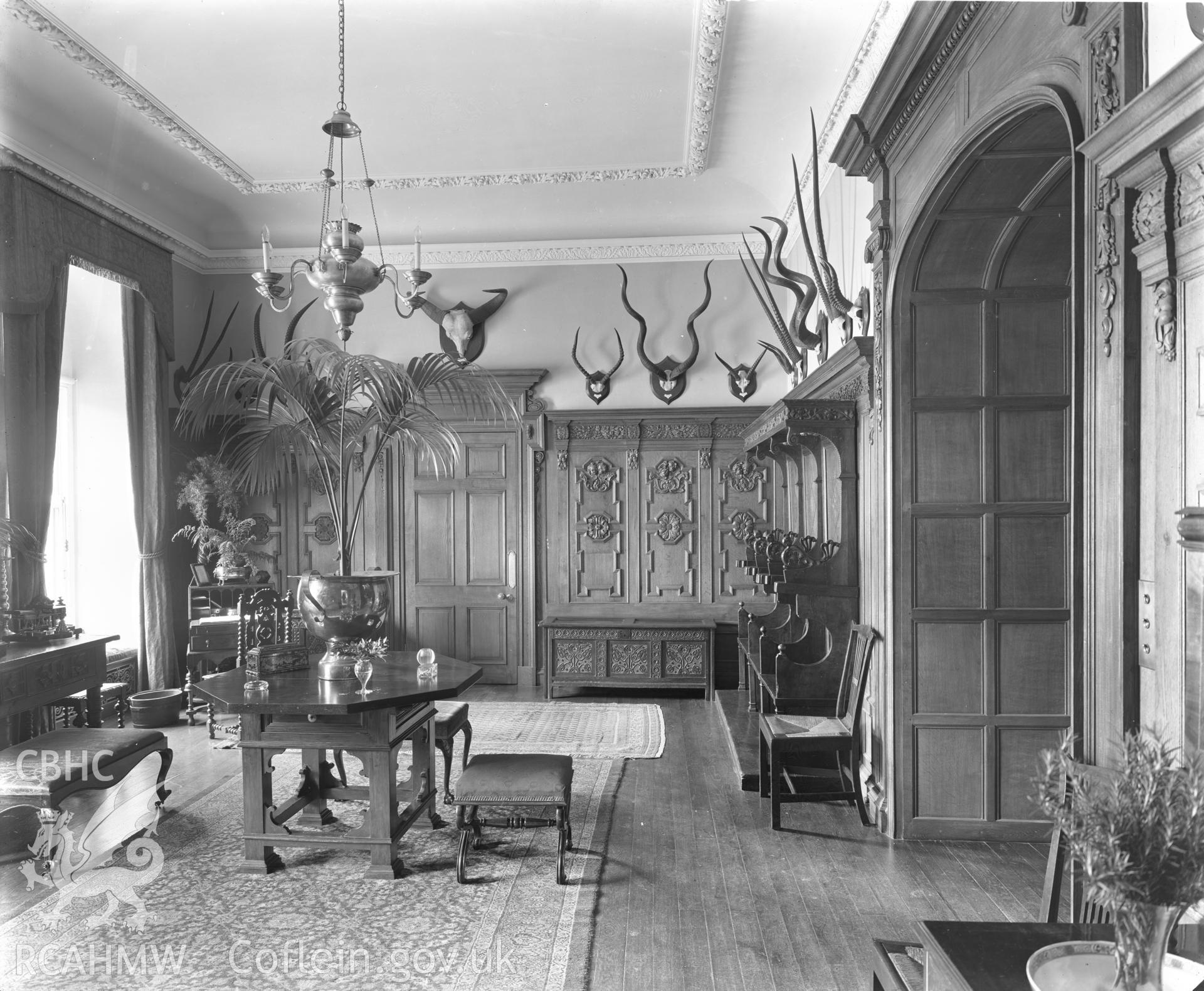 Outsize glass plate negative showing Coomb House.