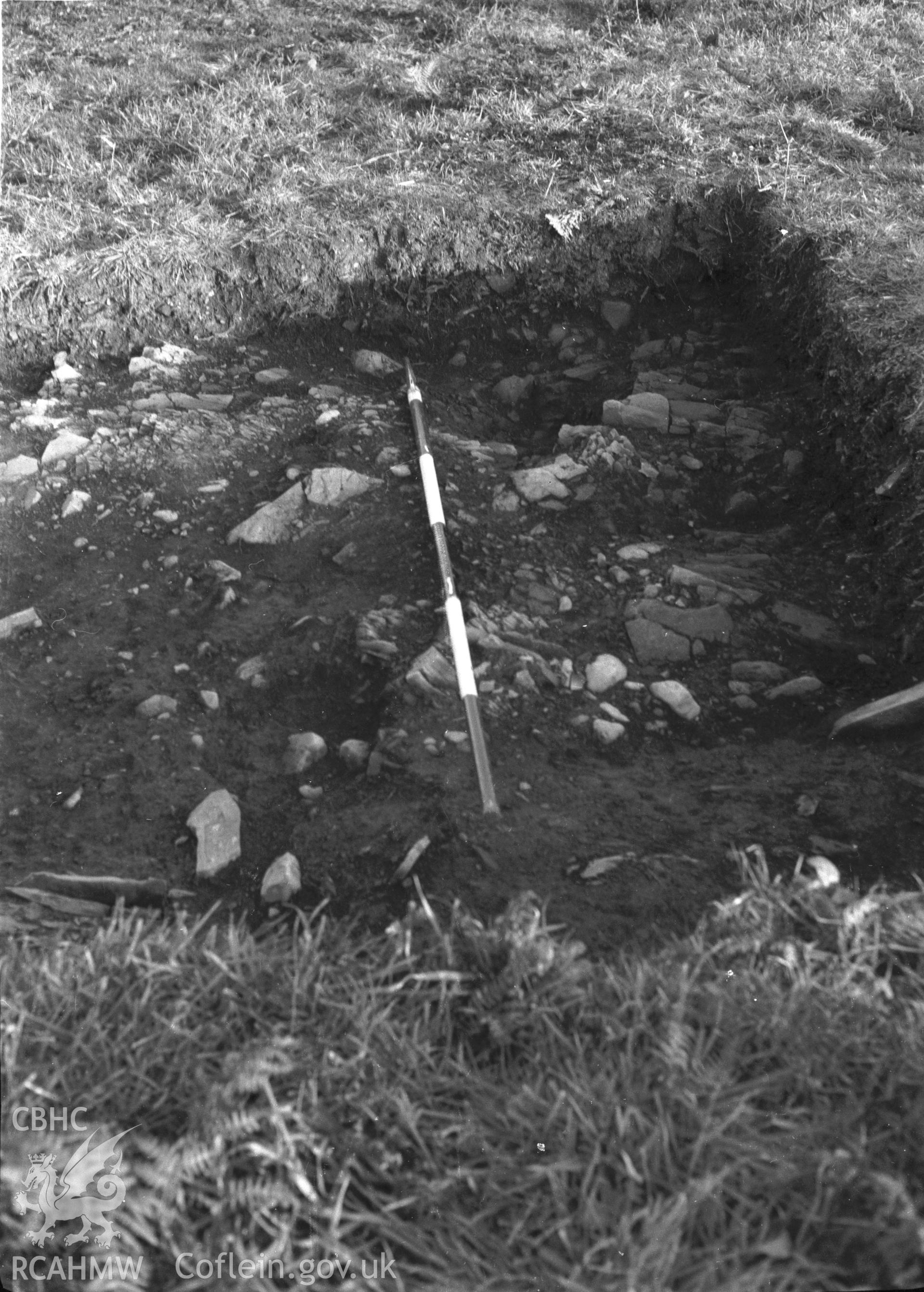 View of excavation.