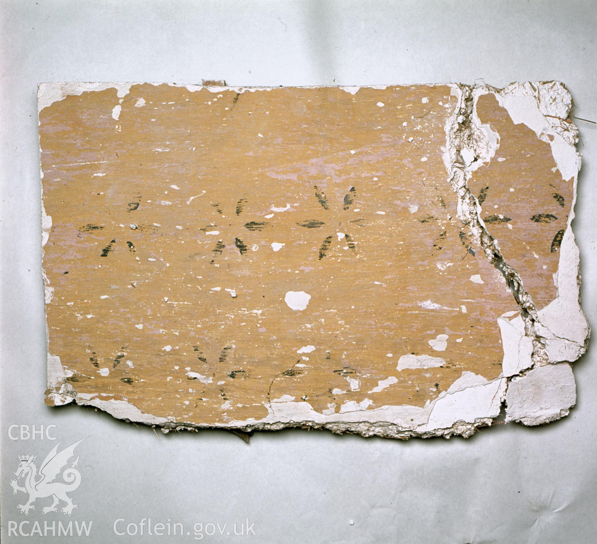 Section of plaster with stencilled decoration