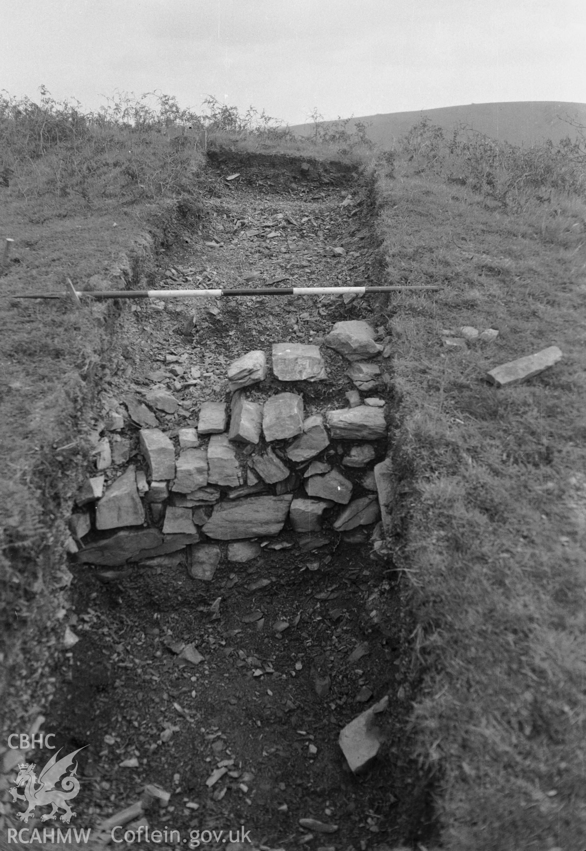 View of excavation.