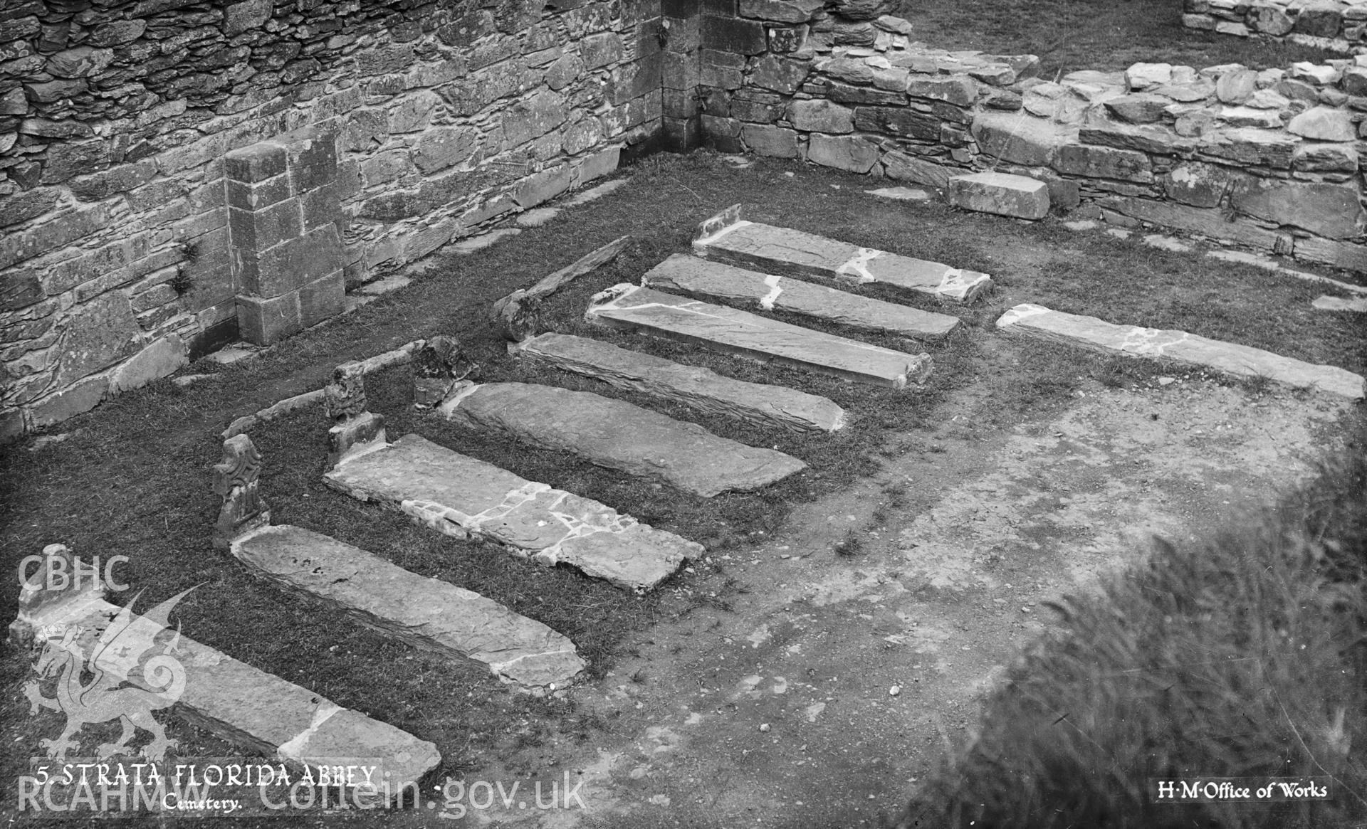 D.O.E. black and white acetate negative of Strata Florida Abbey.