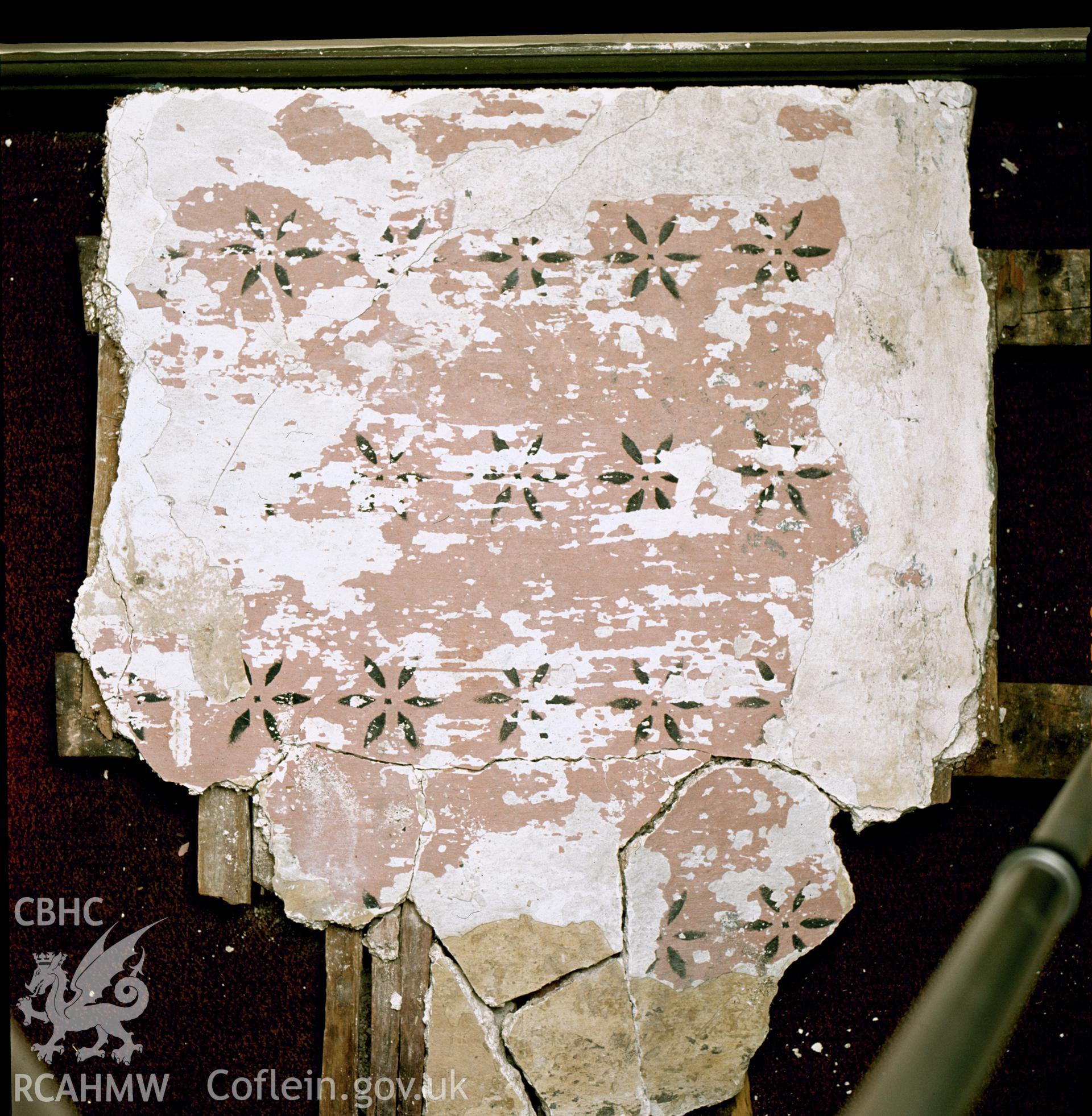 Section of plaster with stencilled decoration