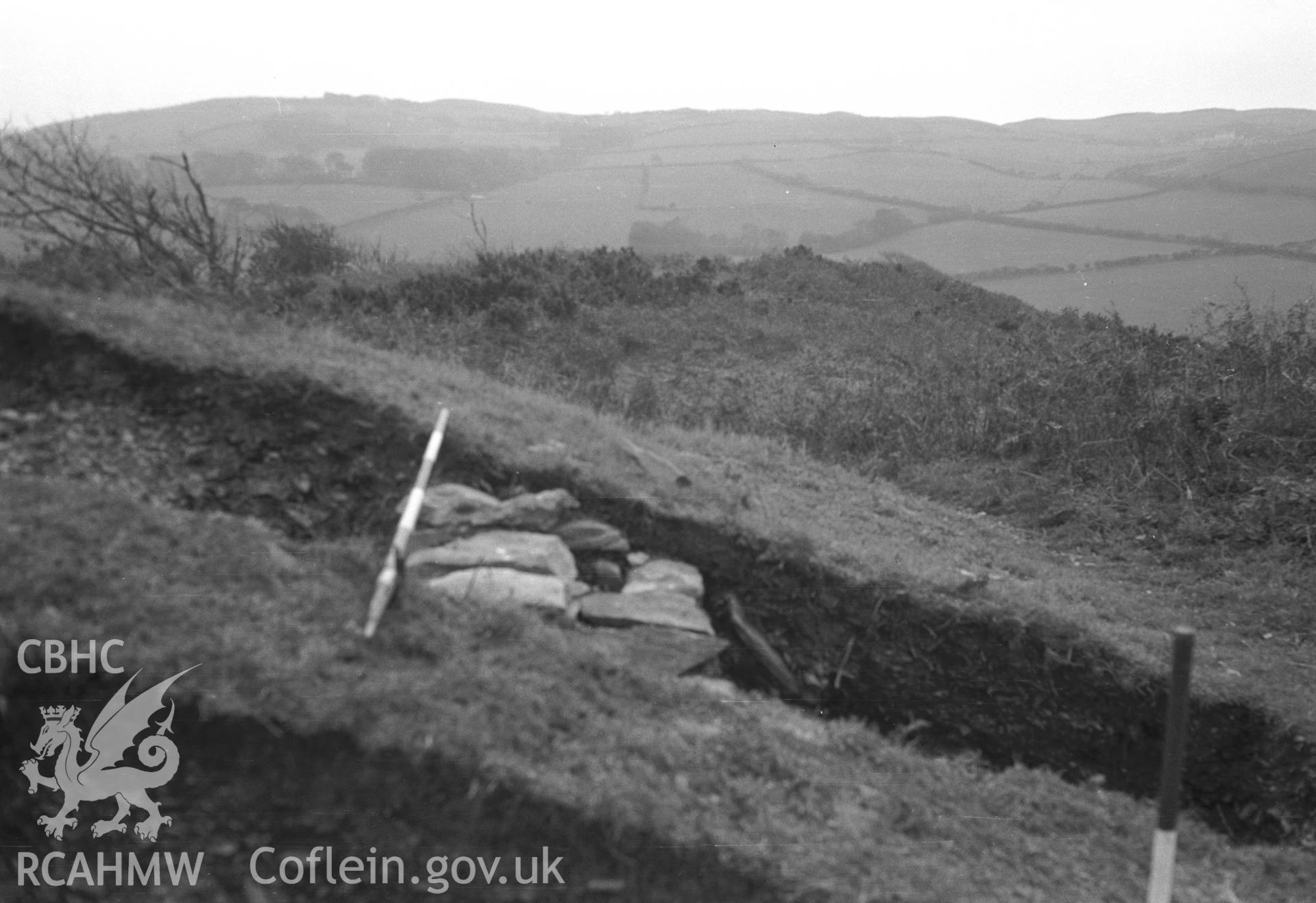 View of excavation.