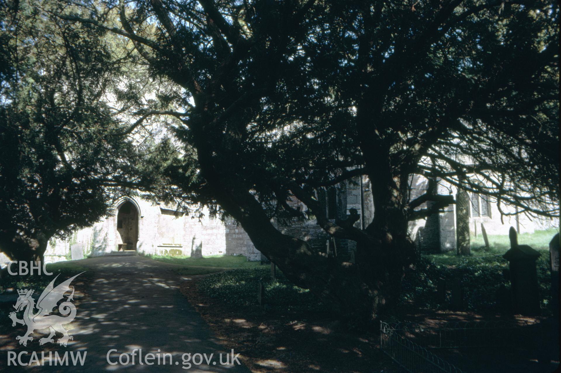 Colour slide showing Nevern Church.