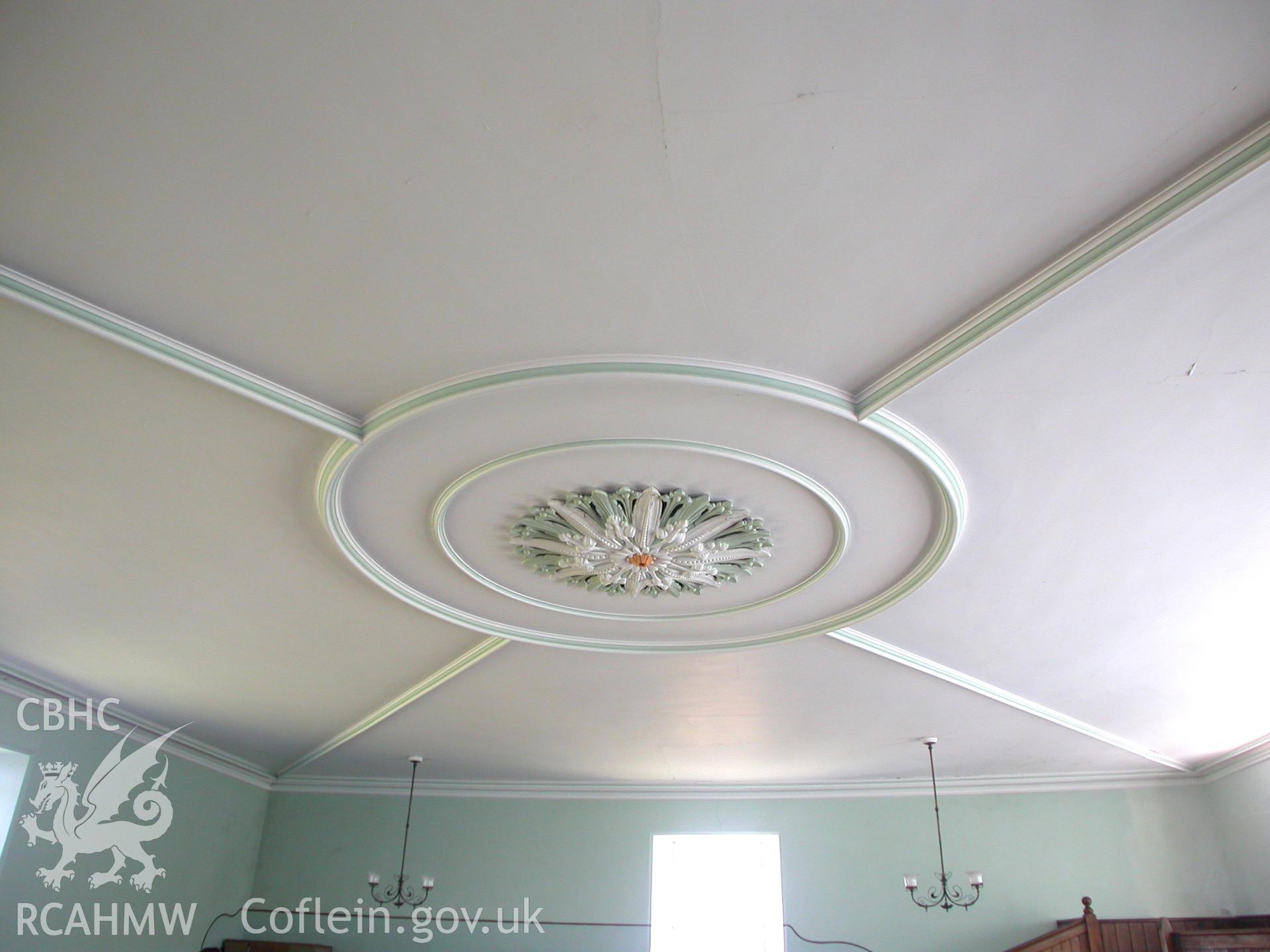 Ceiling rose with radiating ceiling ribs.