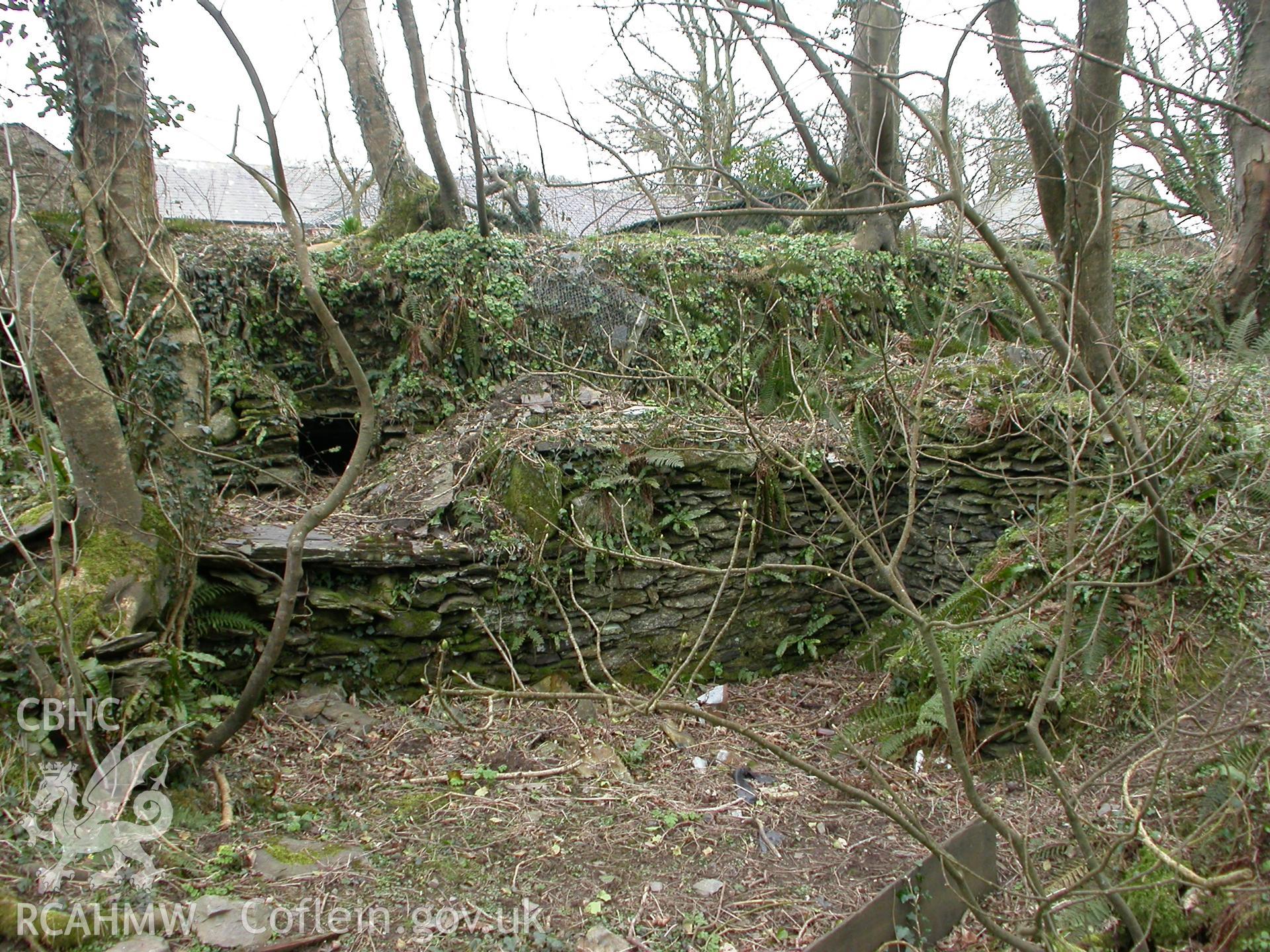 Site of water-wheel pit from S.