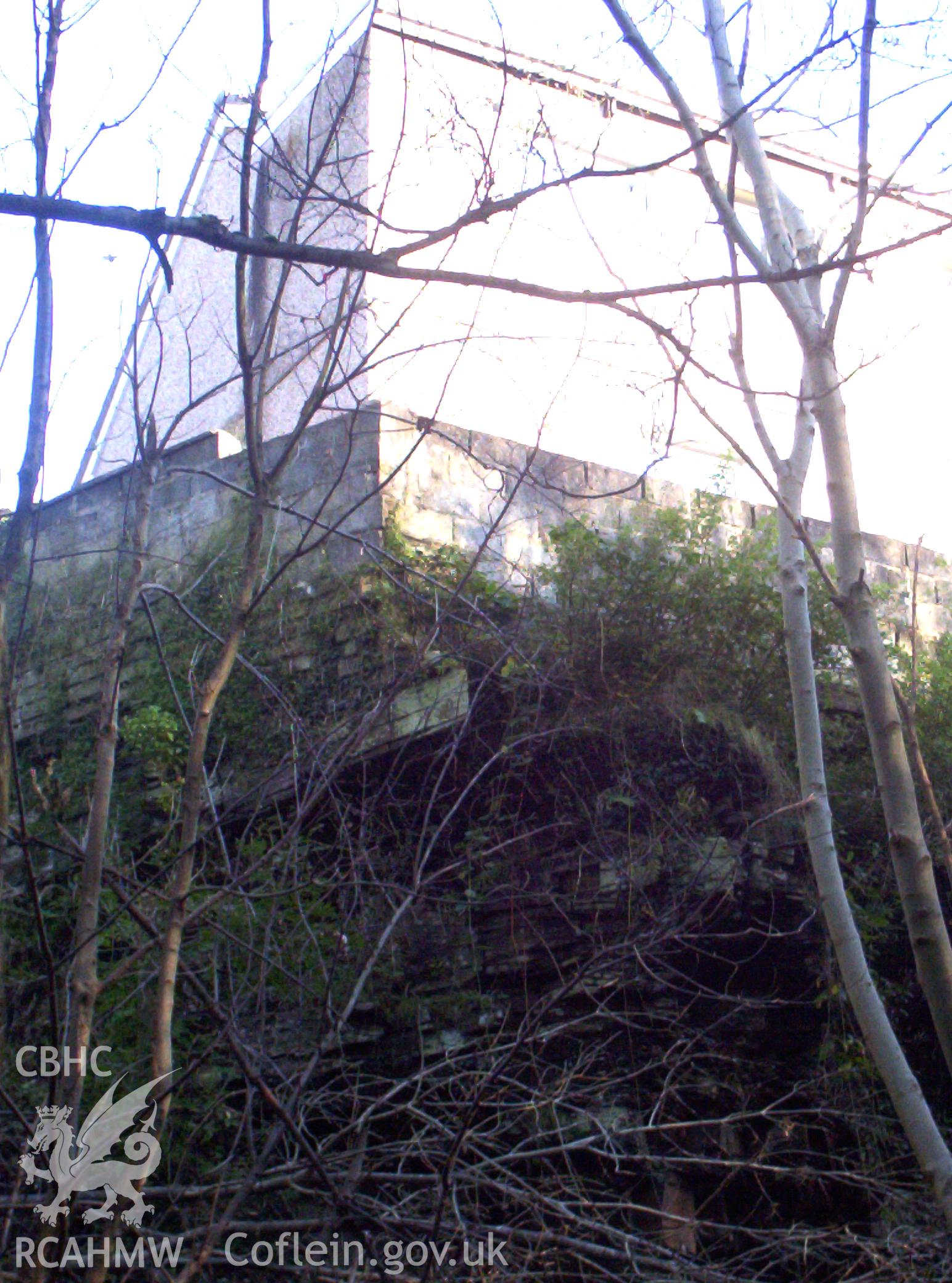 Looking east from tailrace outlet to east face of ravine with former workers' house above.