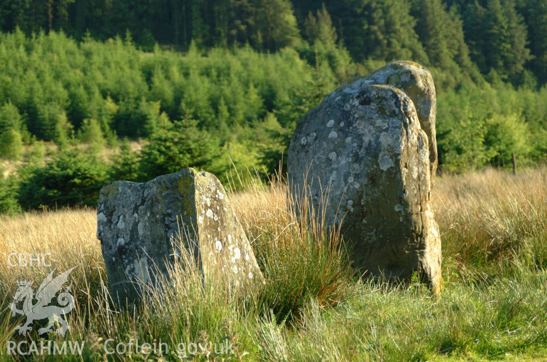 Buwch a'r Llo, standing stone pair, view from north.