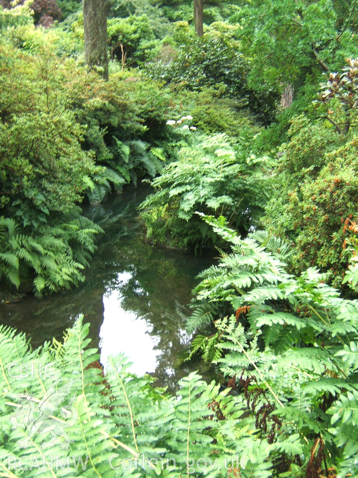 Pond and stream below the swimming pool looking south-west towards the Rock Garden.