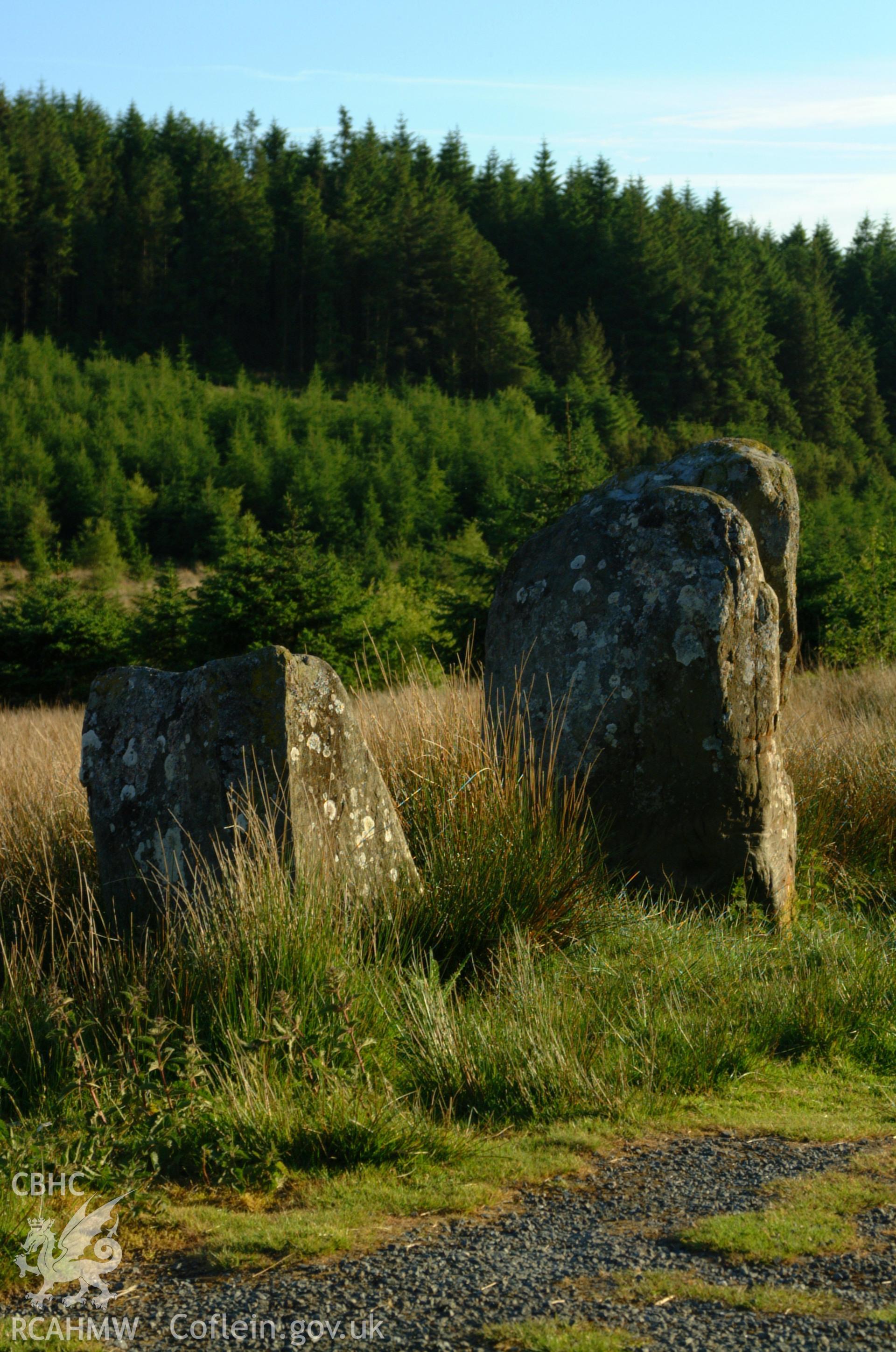 Buwch a'r Llo, standing stone pair, view from north.