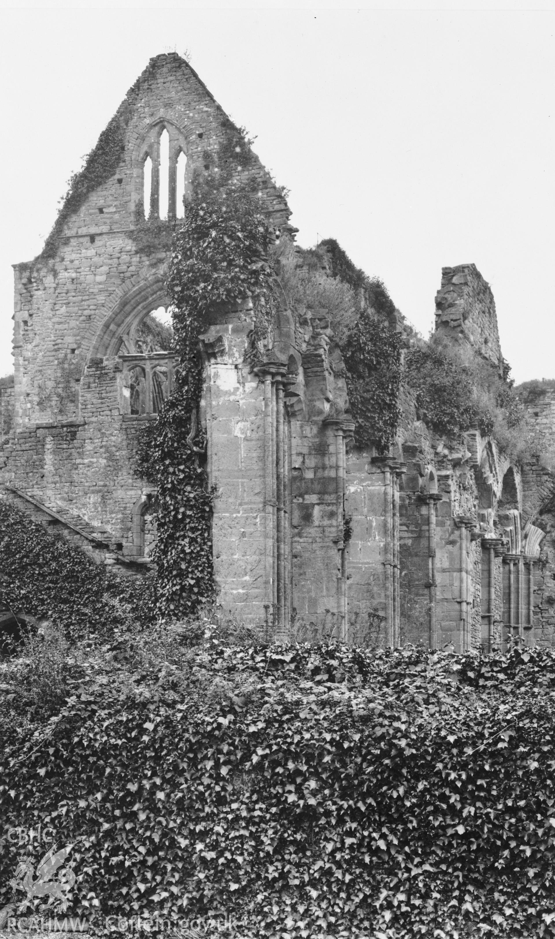 General view of Tintern Abbey.